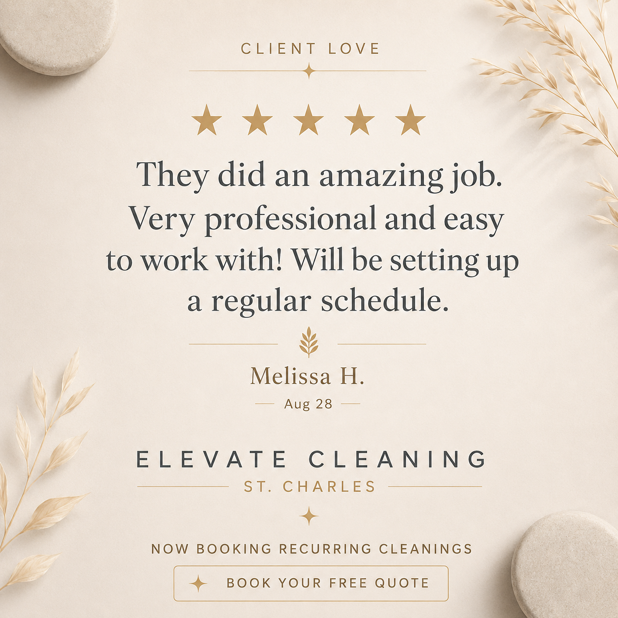 A testimonial for Elevate Cleaning from a customer named Melissa H. praising their professionalism and work quality, with decorative leaves and stones in the background.
