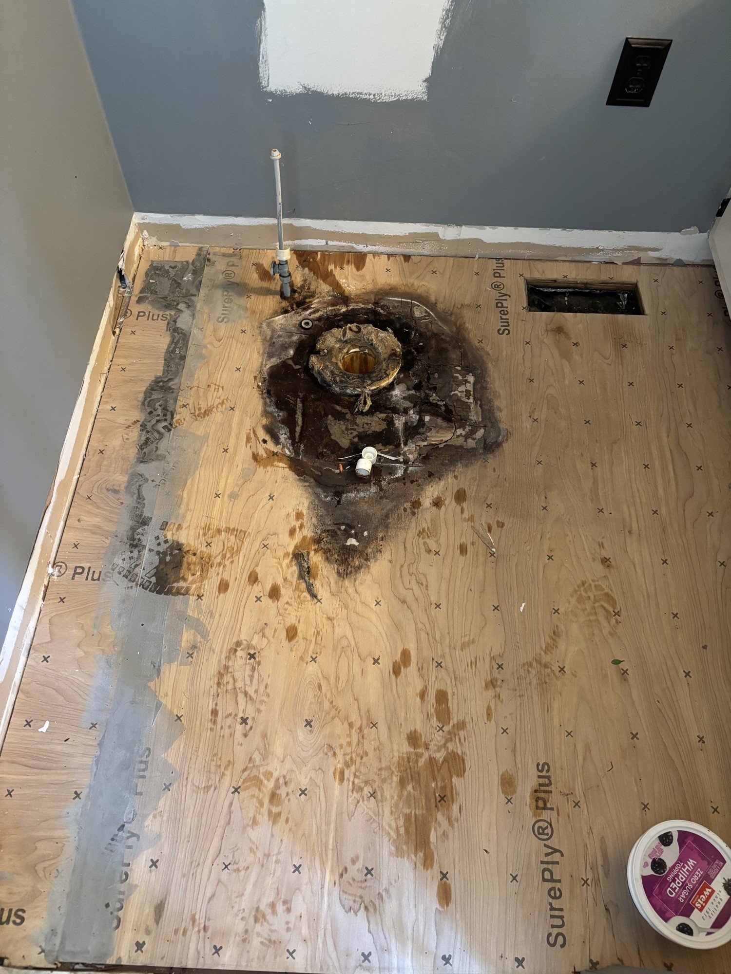 A bathroom floor with water damage, blackened area around the toilet drain, and damaged subflooring. A piece of black decorative tile is missing near the wall, and a bucket of Berry Wise frozen fruit is on the floor.