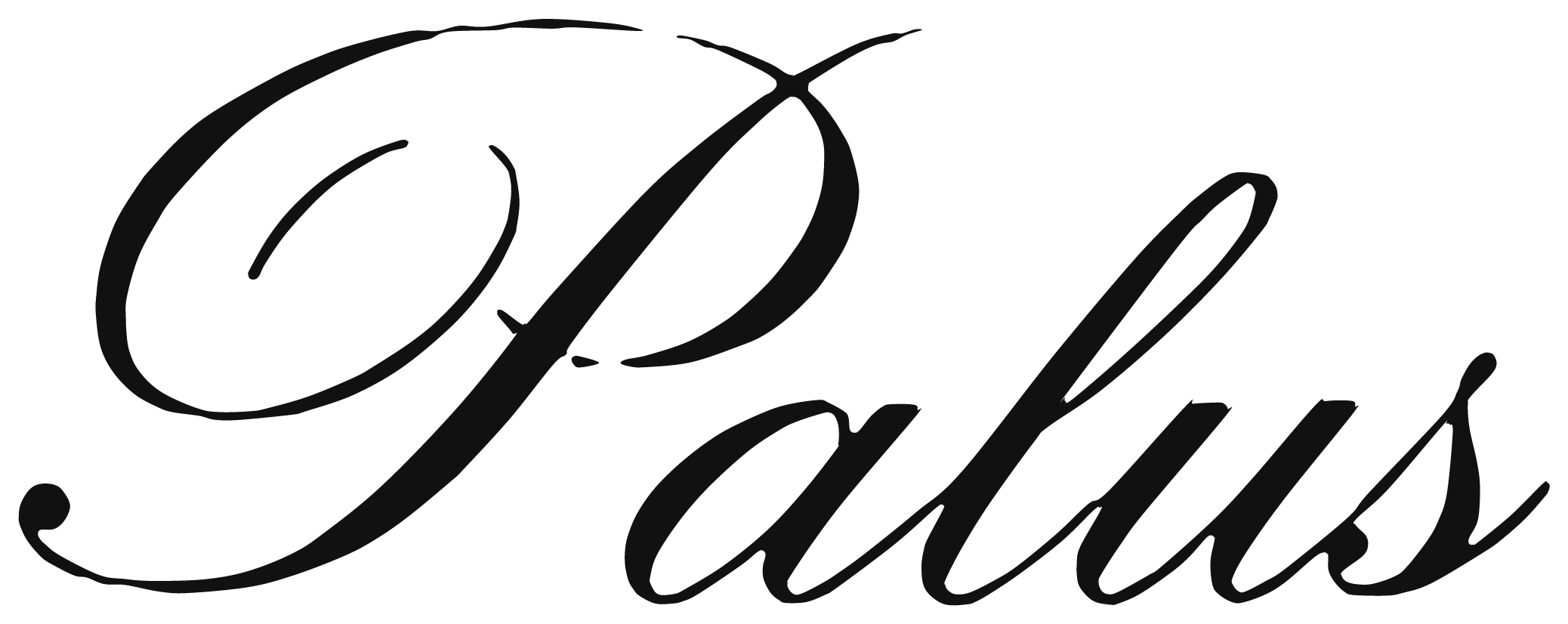Black cursive text that says 'Opal Collection'.