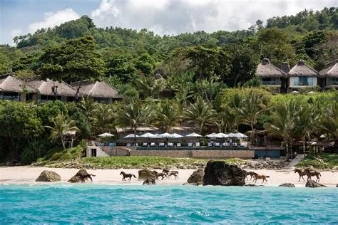 COMING SOON - Sumba, Indonesia