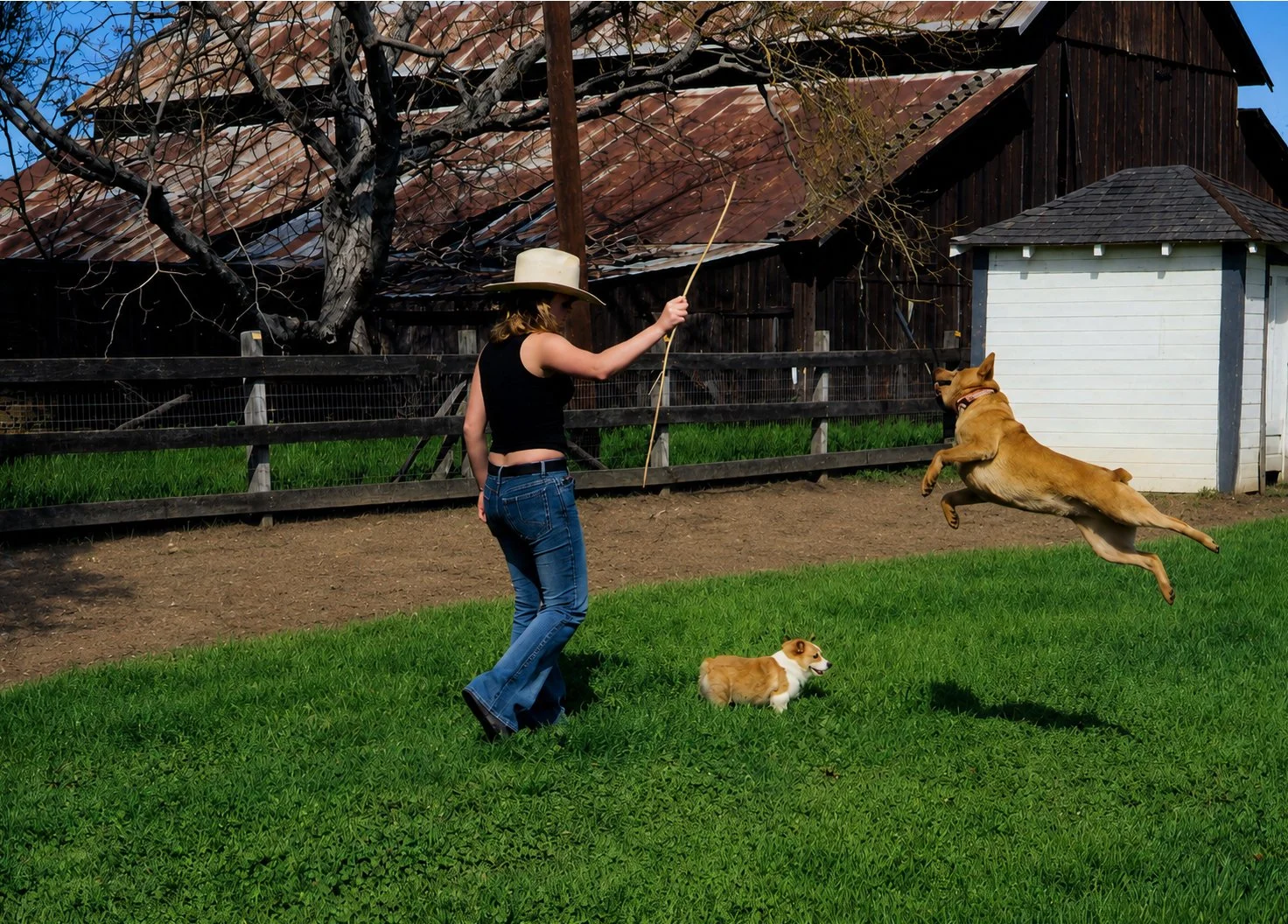 Kendra playing in the pasture with our dogs, Queenie and Cheyenne. There is an old barn in the background.