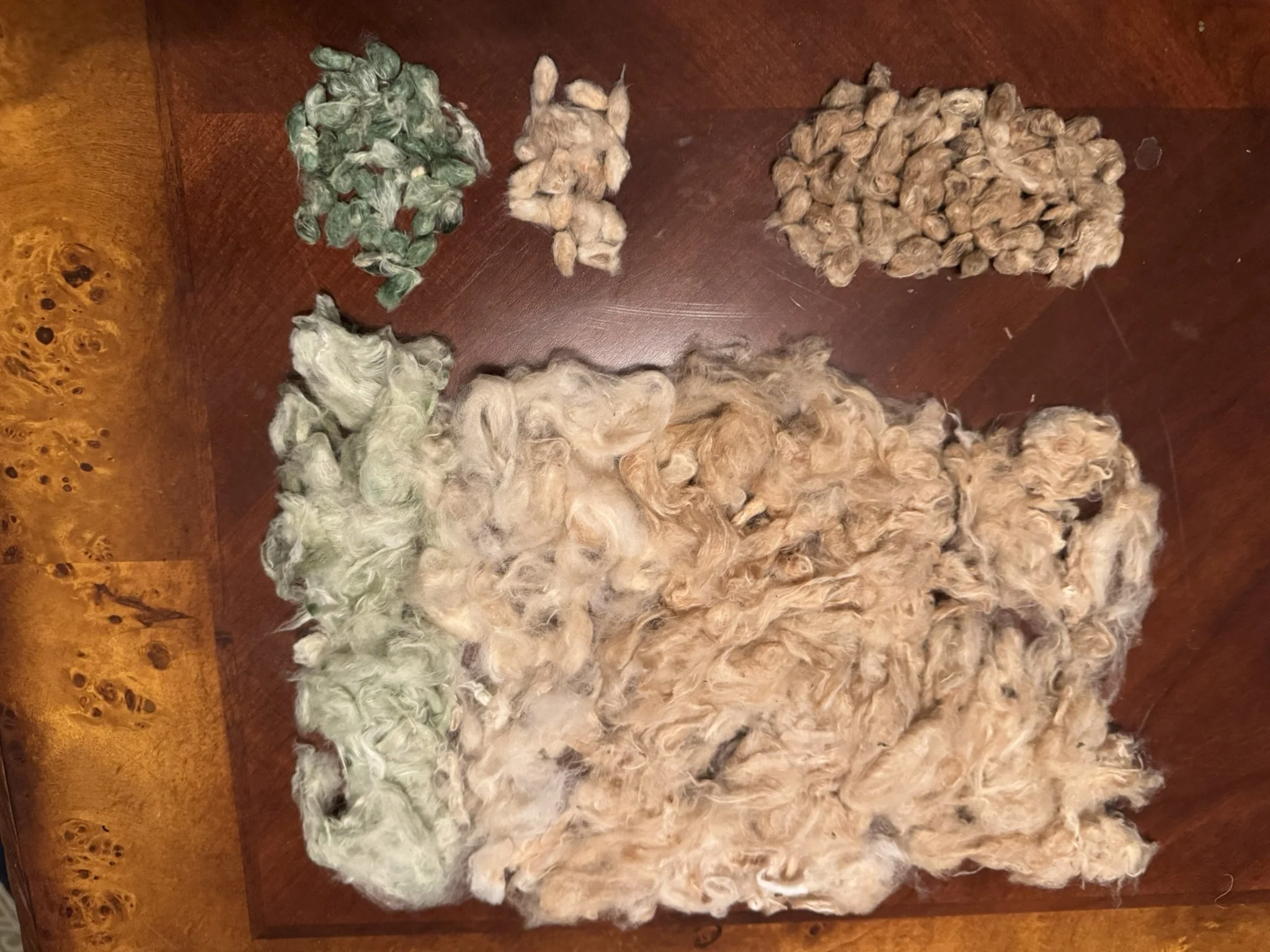 Colorful Cotton