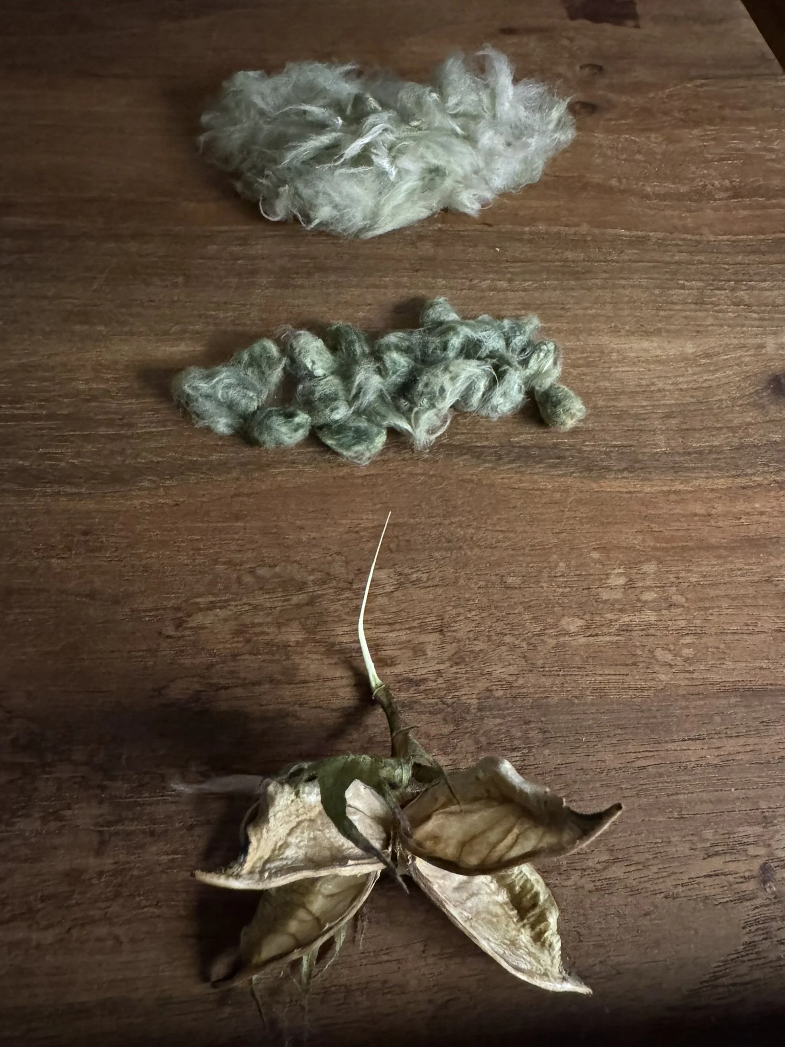 Cotton Confessions