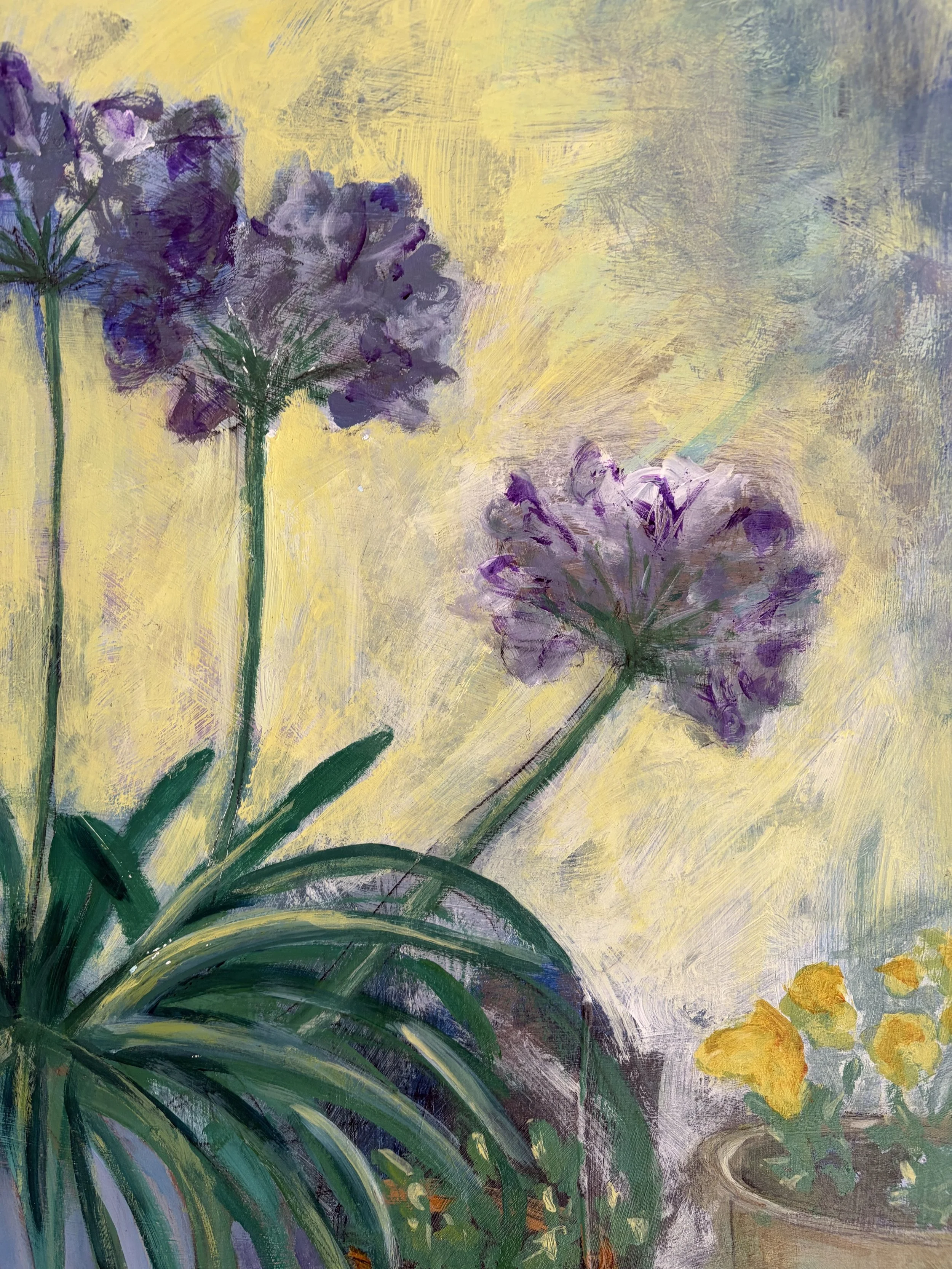 agapanthus detail.jpeg