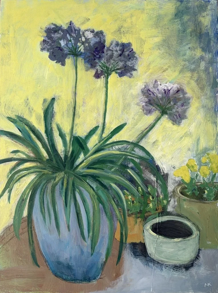 Agapanthus in Autumn