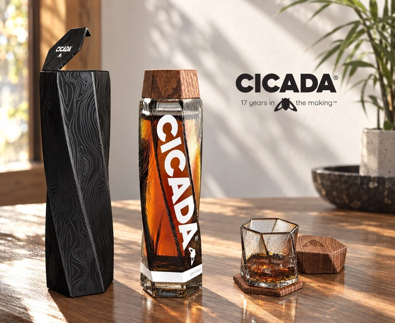 alison-volkmar-cicada-under-2mb.jpg