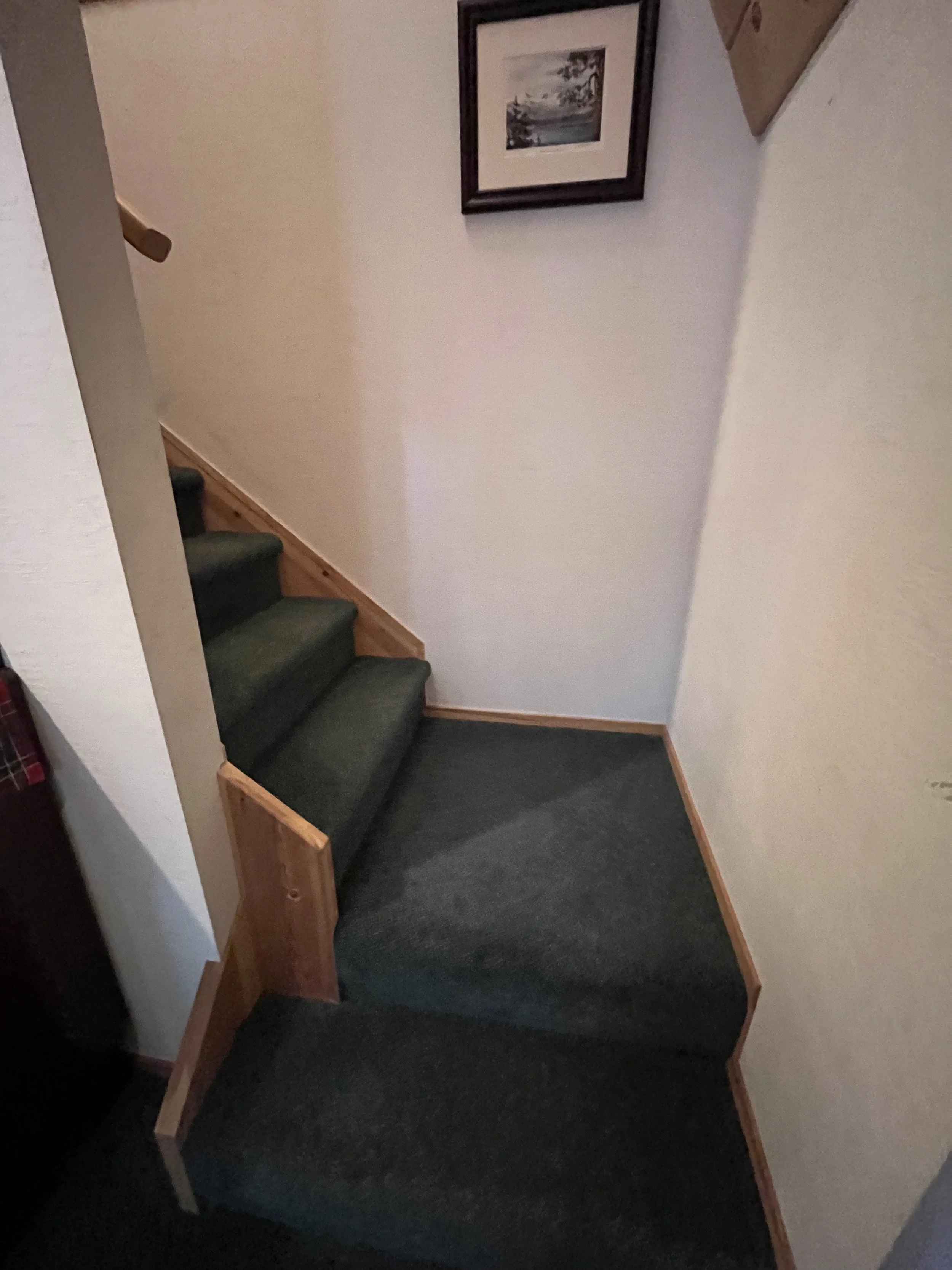 A staircase with dark green carpeted steps, wooden sides, and a handrail. There is a framed picture on the wall above the stairs.