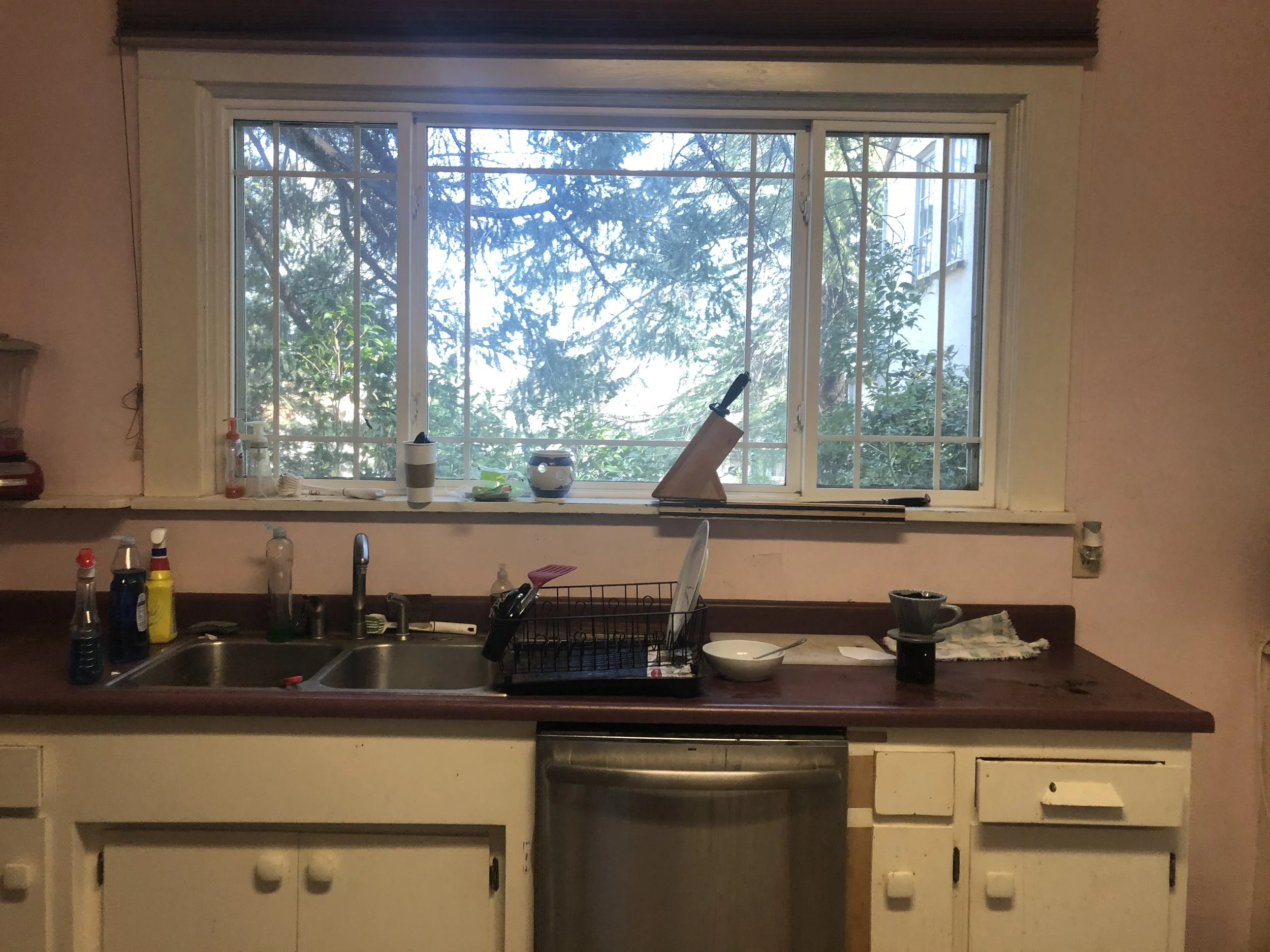 View of a kitchen window with trees outside, kitchen counter with bottles, a cup, a coffee mug, dish soap, and a dish rack. Items on the counter include cleaning supplies, utensils, and a bowl.