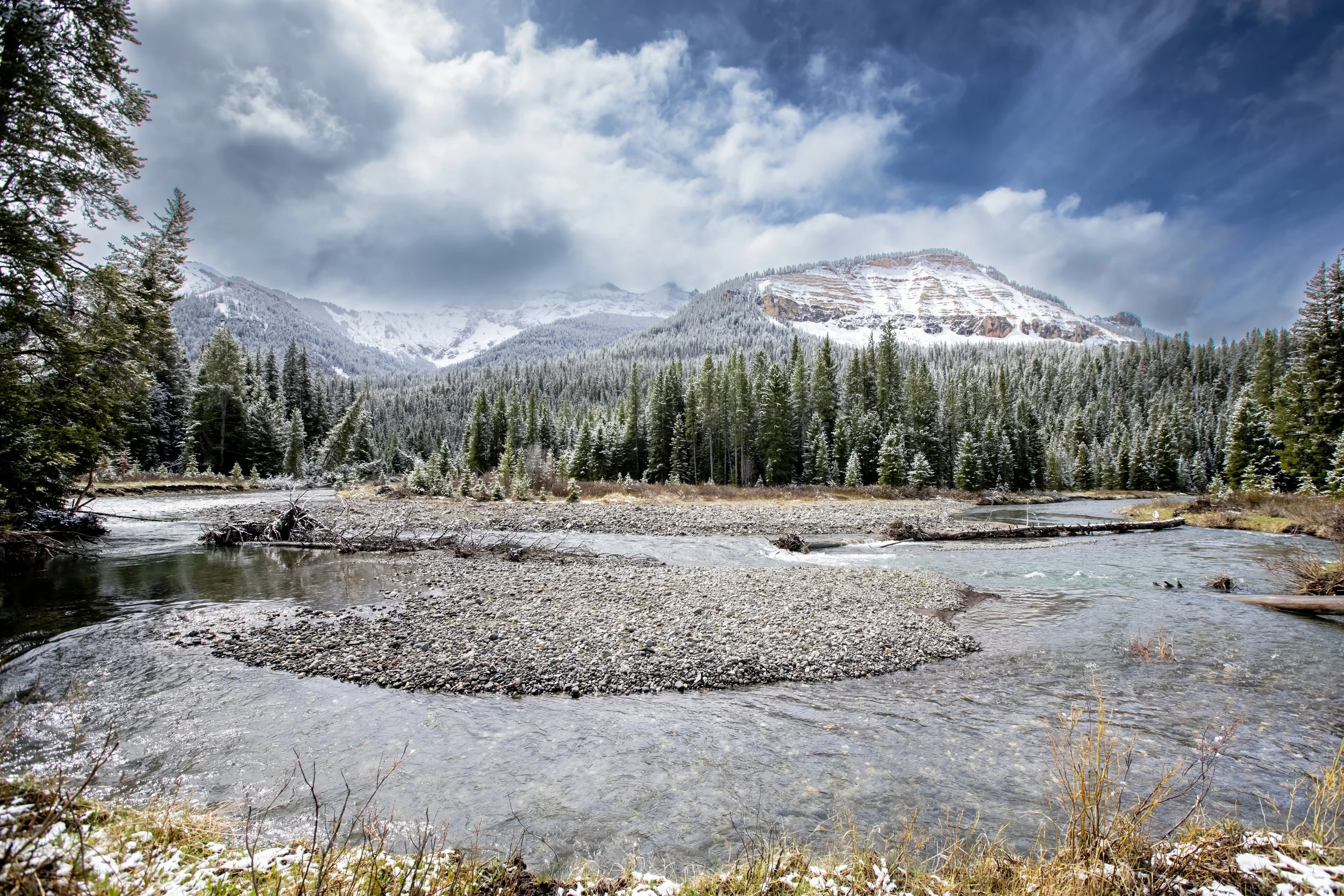 A mountain landscape with snow-covered peaks behind a dense forest of evergreen trees, a river flowing in the foreground, and partly cloudy sky.