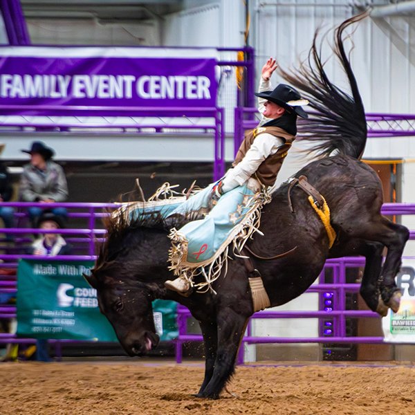 A cowboy riding a bucking horse in an indoor arena at a family event center, with purple railings and spectators in the background.