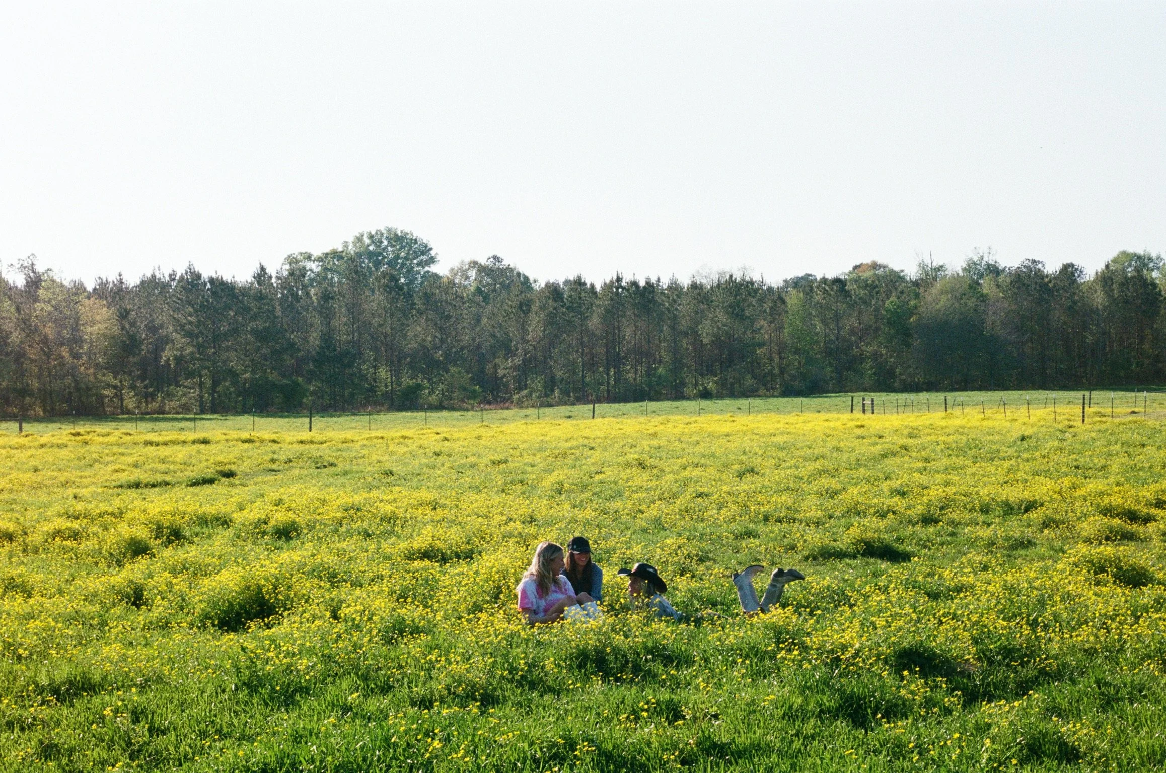 People sitting and talking on a grassy area amidst yellow flowers in a scenic outdoor setting with trees and a fence in the background.
