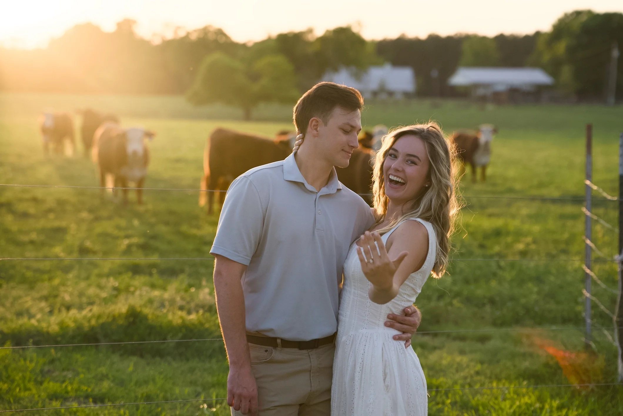 A young couple standing together in a green field at sunset, with cows grazing in the background.