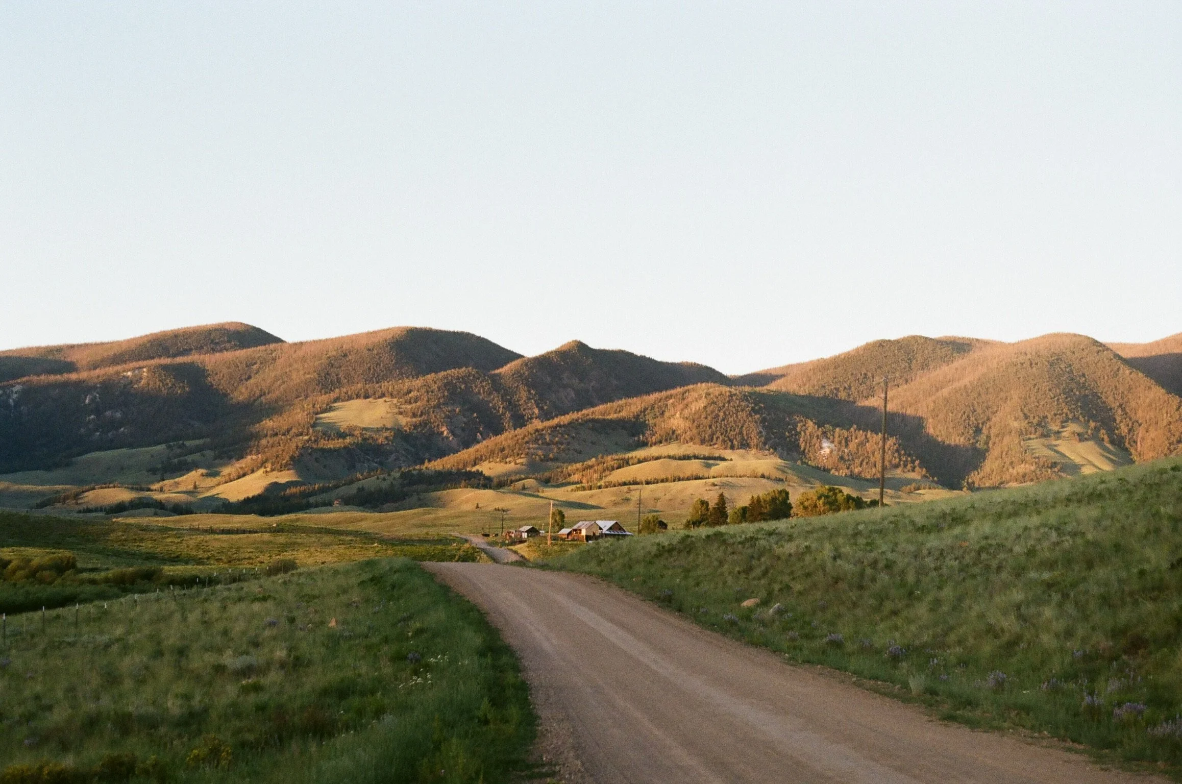 A rural landscape featuring rolling green hills and fields, a dirt road leading towards a few small houses, and mountains in the distance under a clear sky.
