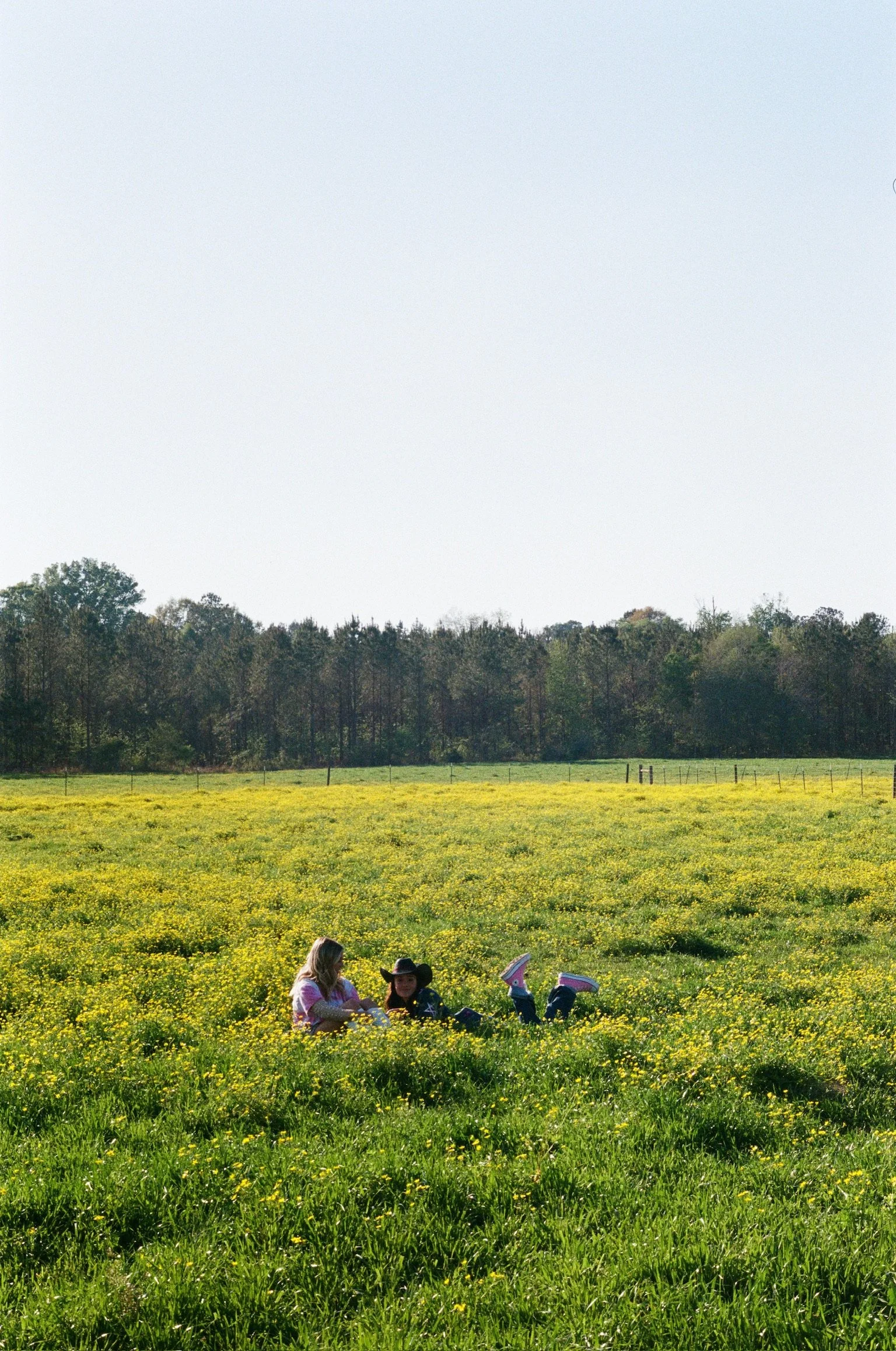 Two children sitting in a yellow flower-covered field, with trees in the background and clear sky overhead.