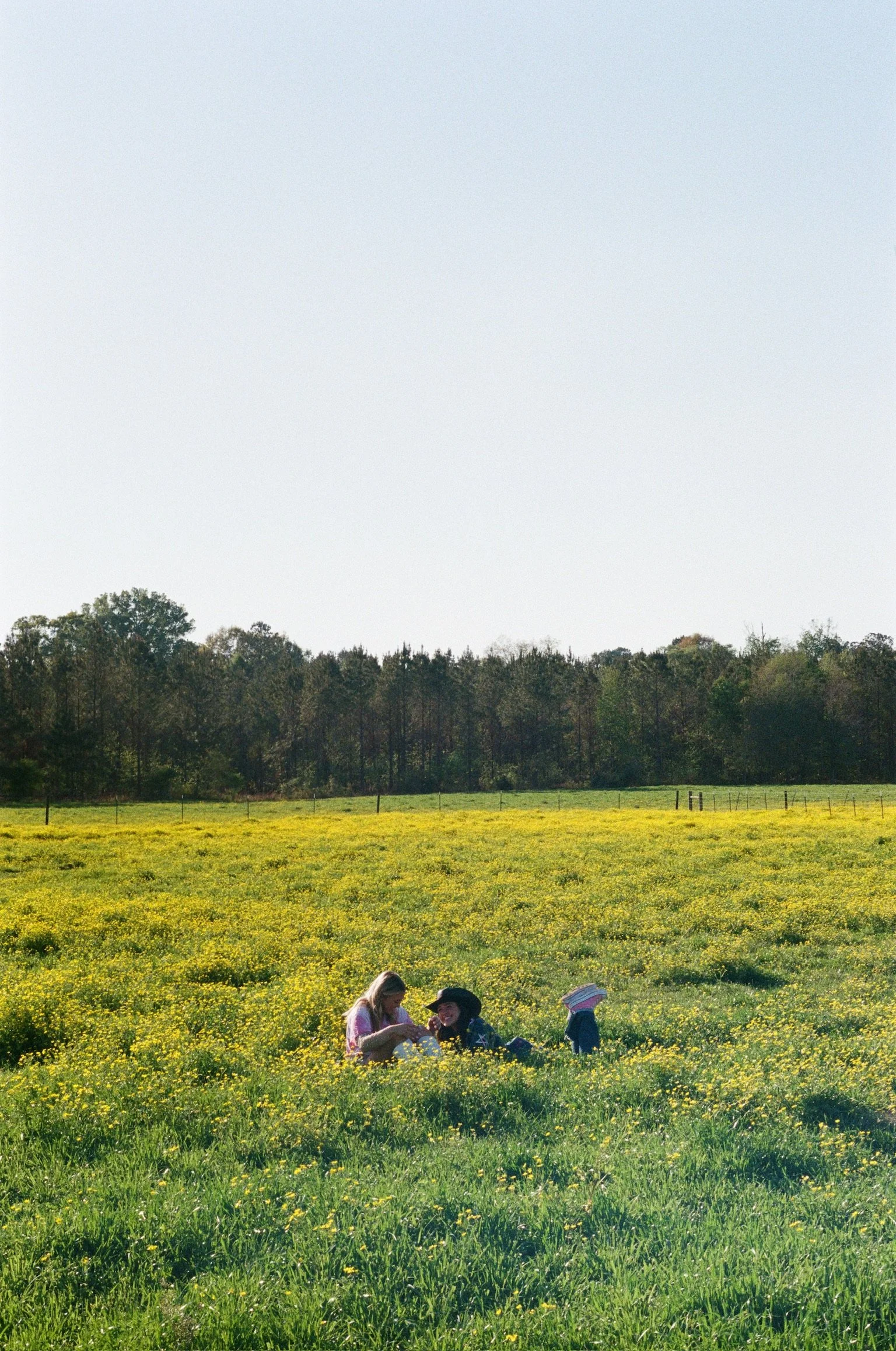 Three children playing in a green field with yellow flowers, surrounded by trees under a clear blue sky.