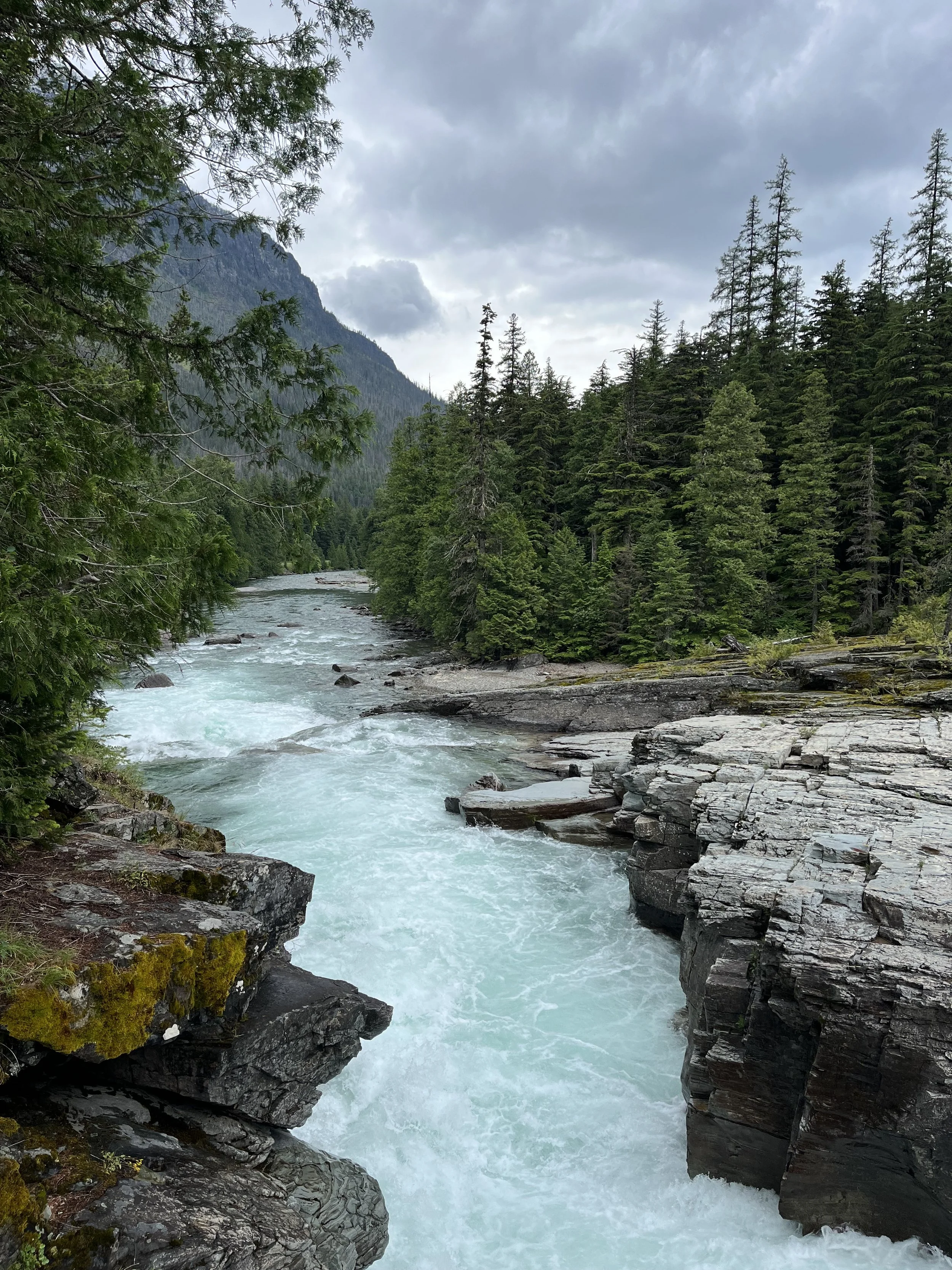 A river flowing through a forested mountain landscape with pine trees and rocky banks, cloudy sky.