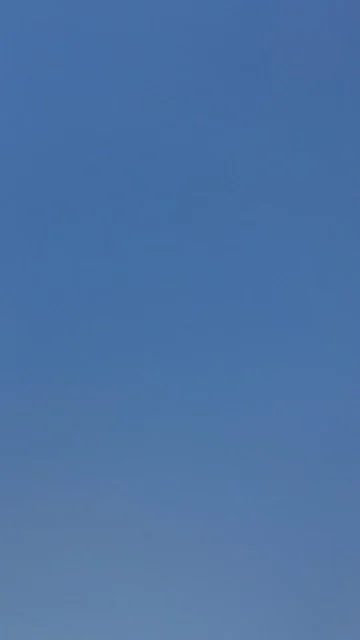 4CE3E976-A378-4B1B-B4BC-F512281FA2A7_4_5005_c.jpeg