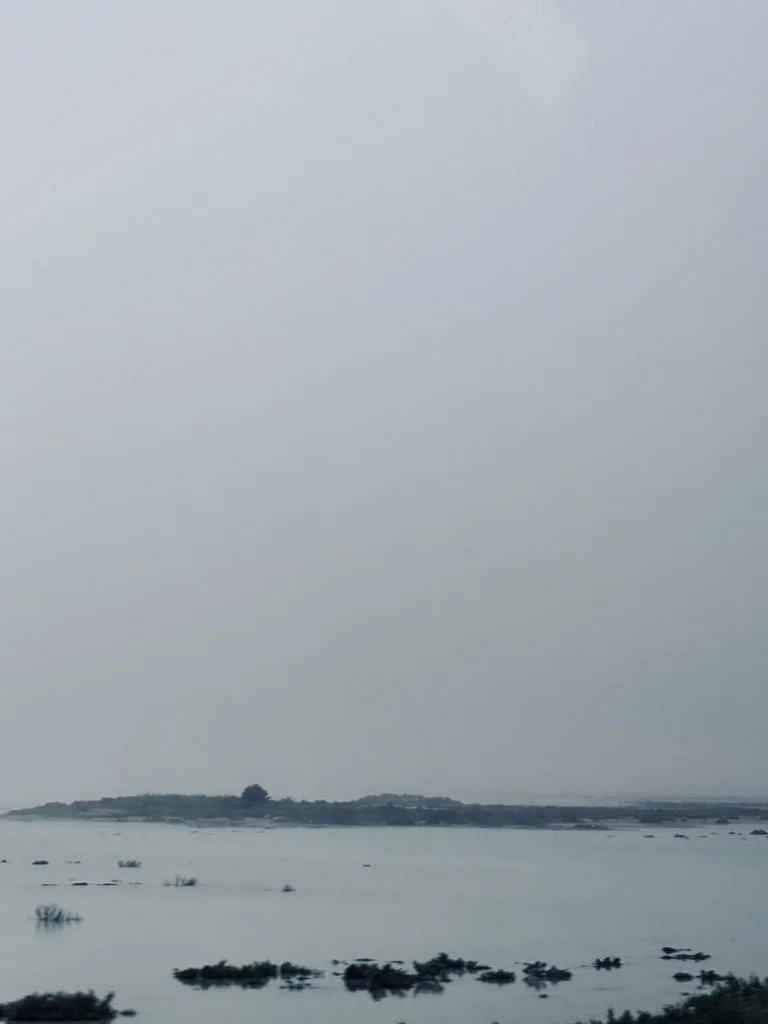 59443F8C-45D5-44AC-8E56-68C357182C1C_1_105_c.jpeg