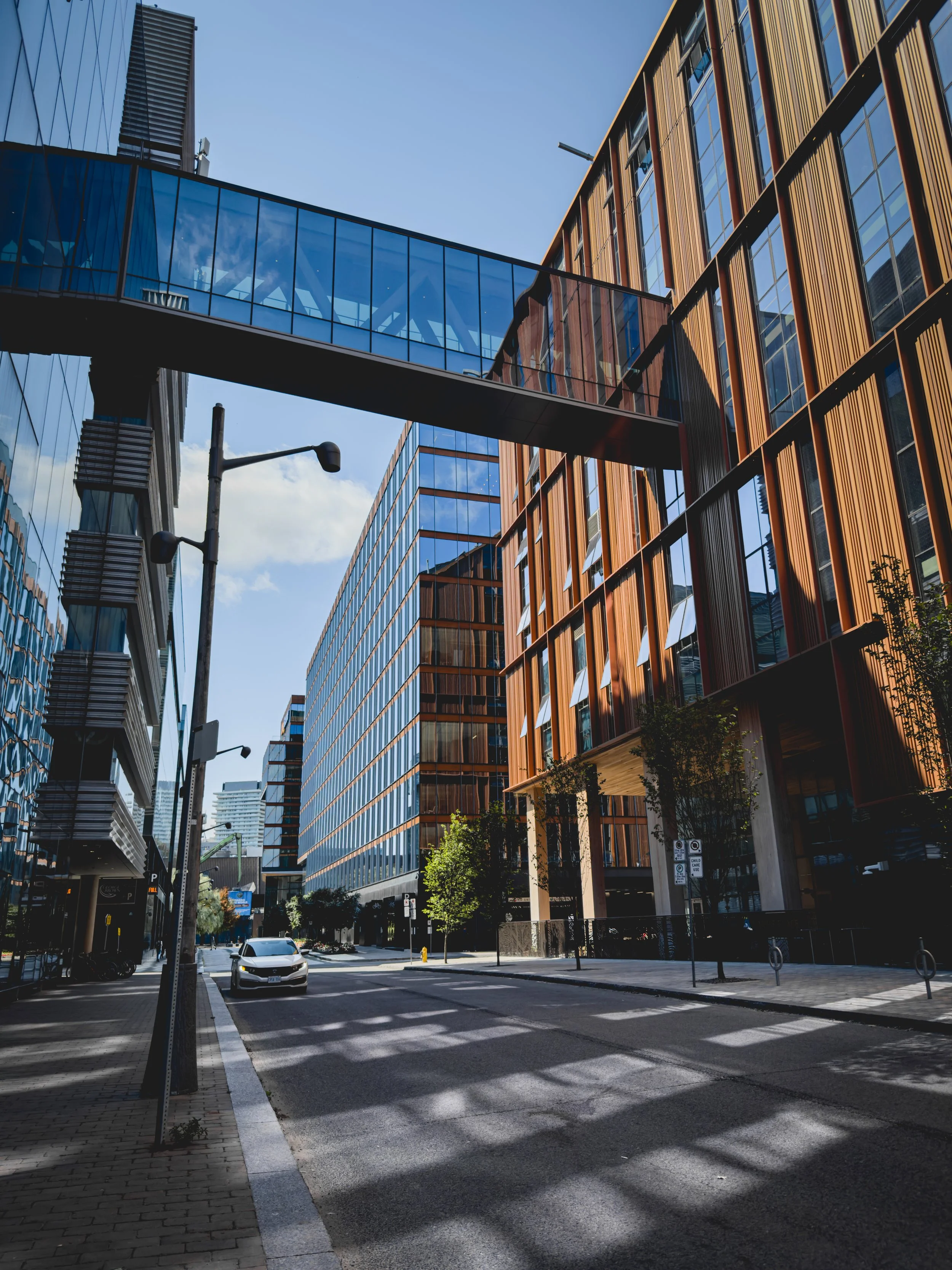 Urban city street with modern glass and wooden buildings, parked cars, and street lamps under a clear blue sky.