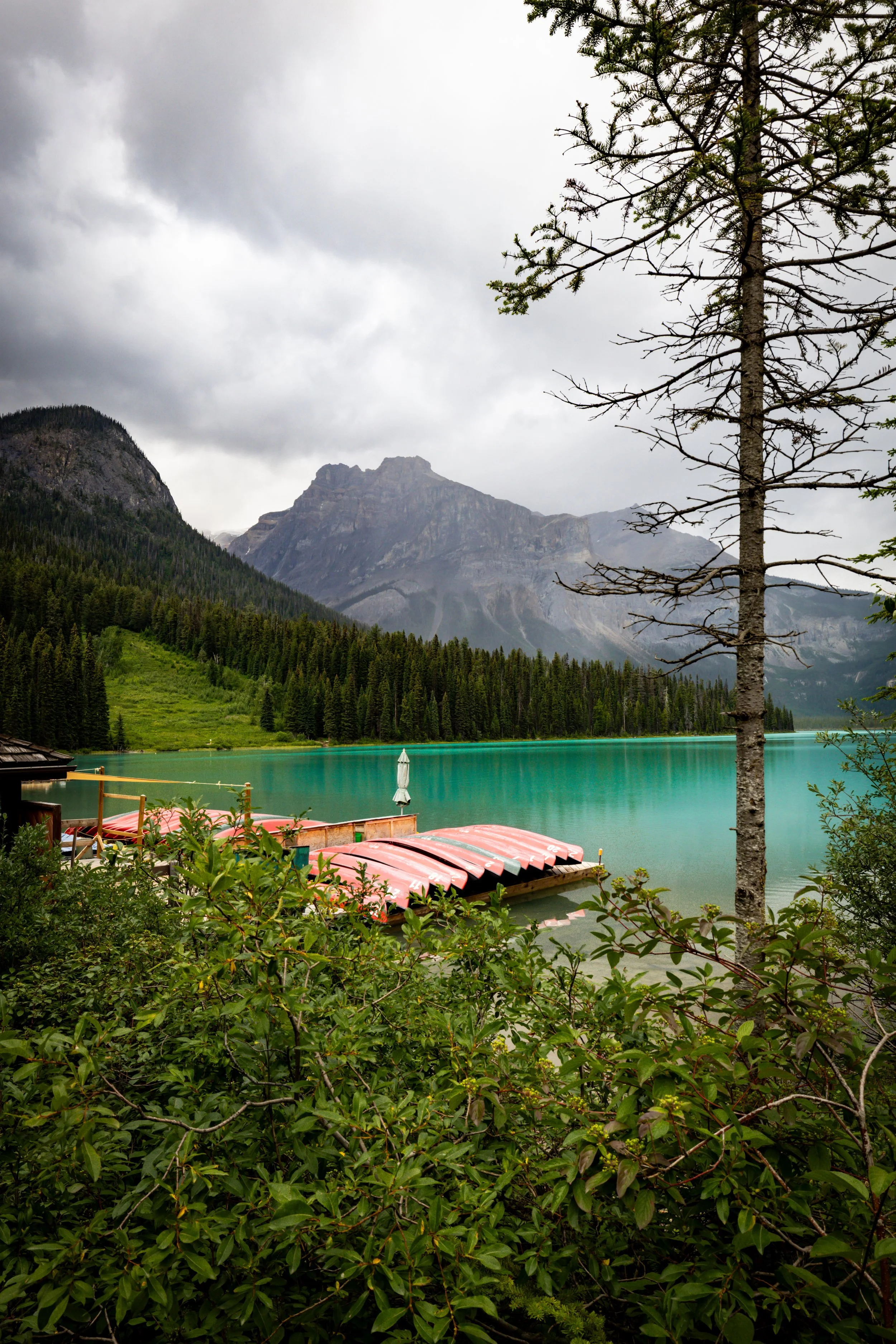 A scenic mountain landscape with a lake, surrounded by dense evergreen forests and a cloudy sky. In the foreground, there are green bushes and pink paddle boats near the water.