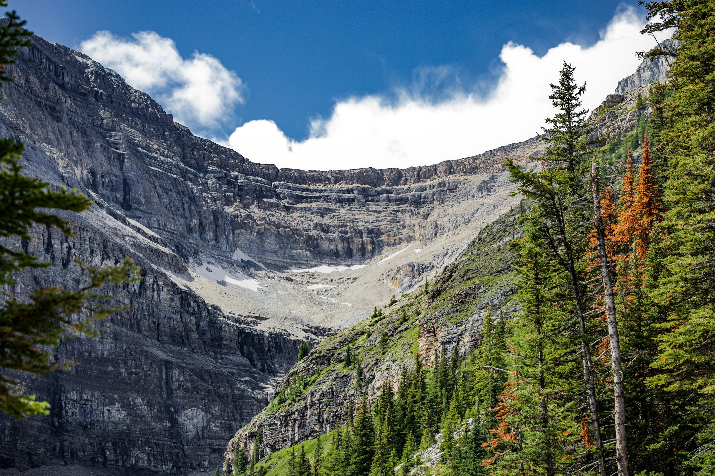 A mountainous landscape with steep rocky cliffs, patches of snow, and a forest of green pine trees in the foreground, under a blue sky with some white clouds.