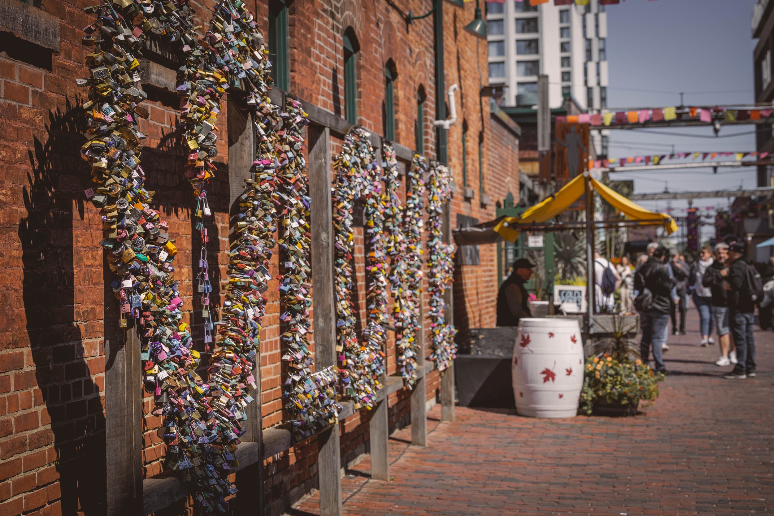 R6II0728.jpg