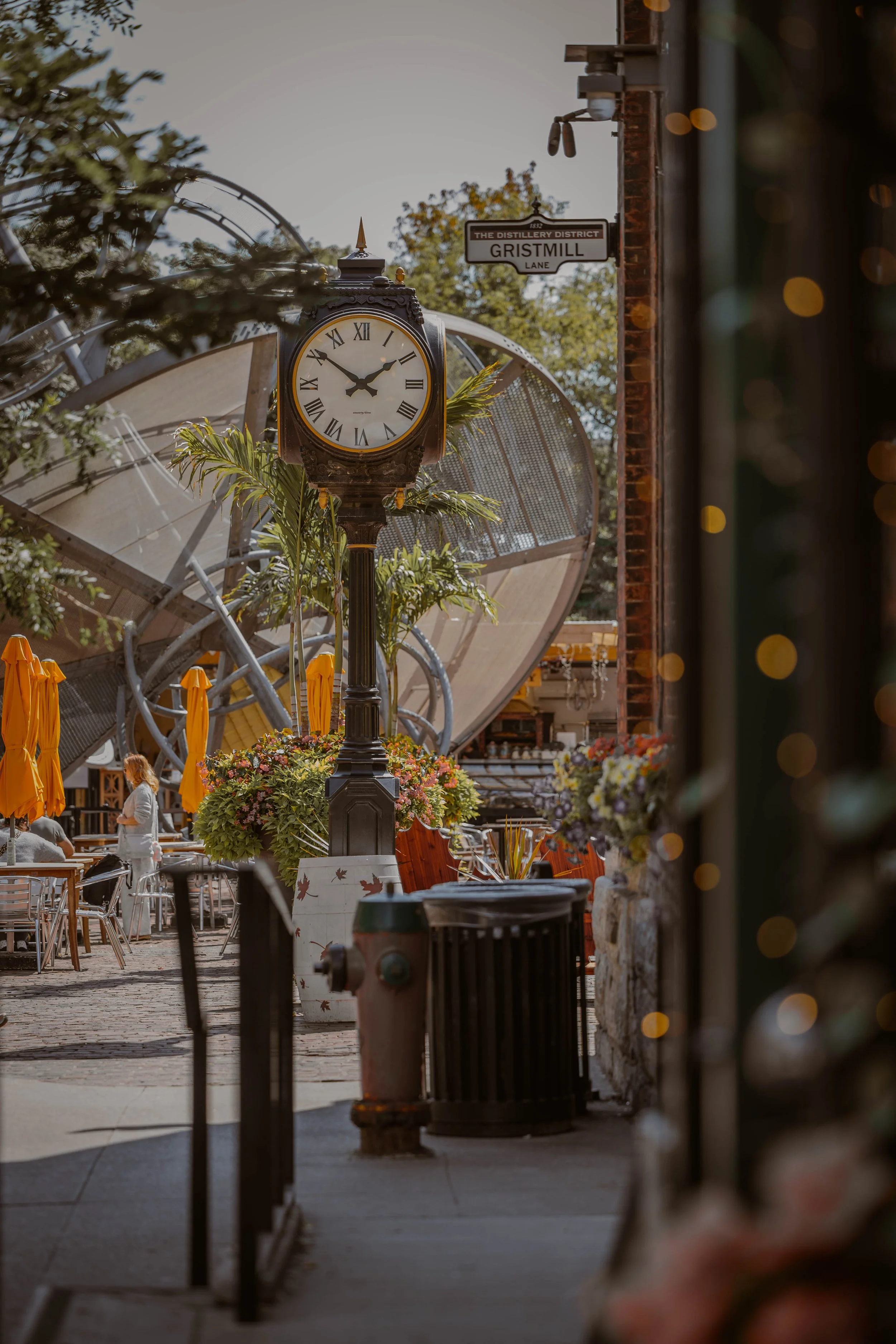 R6II0651.jpg
