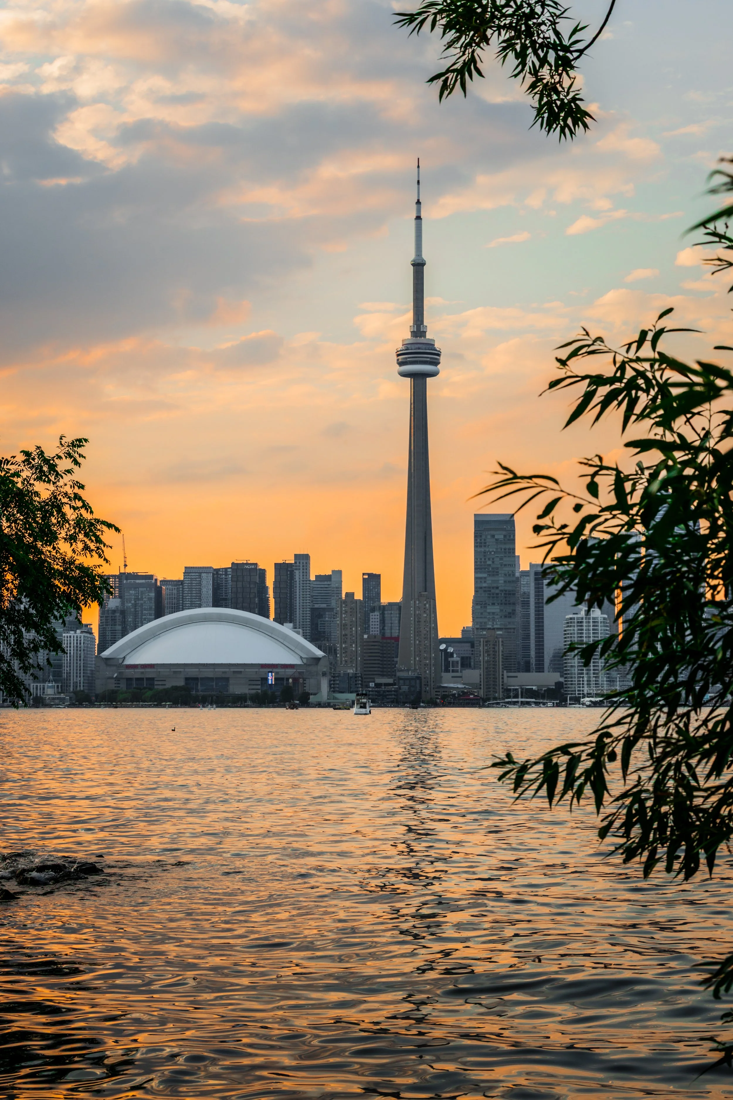 A city skyline during sunset with the CN Tower in Toronto, Canada, visible in the center. The scene is viewed from across a body of water, with trees and branches framing the image.