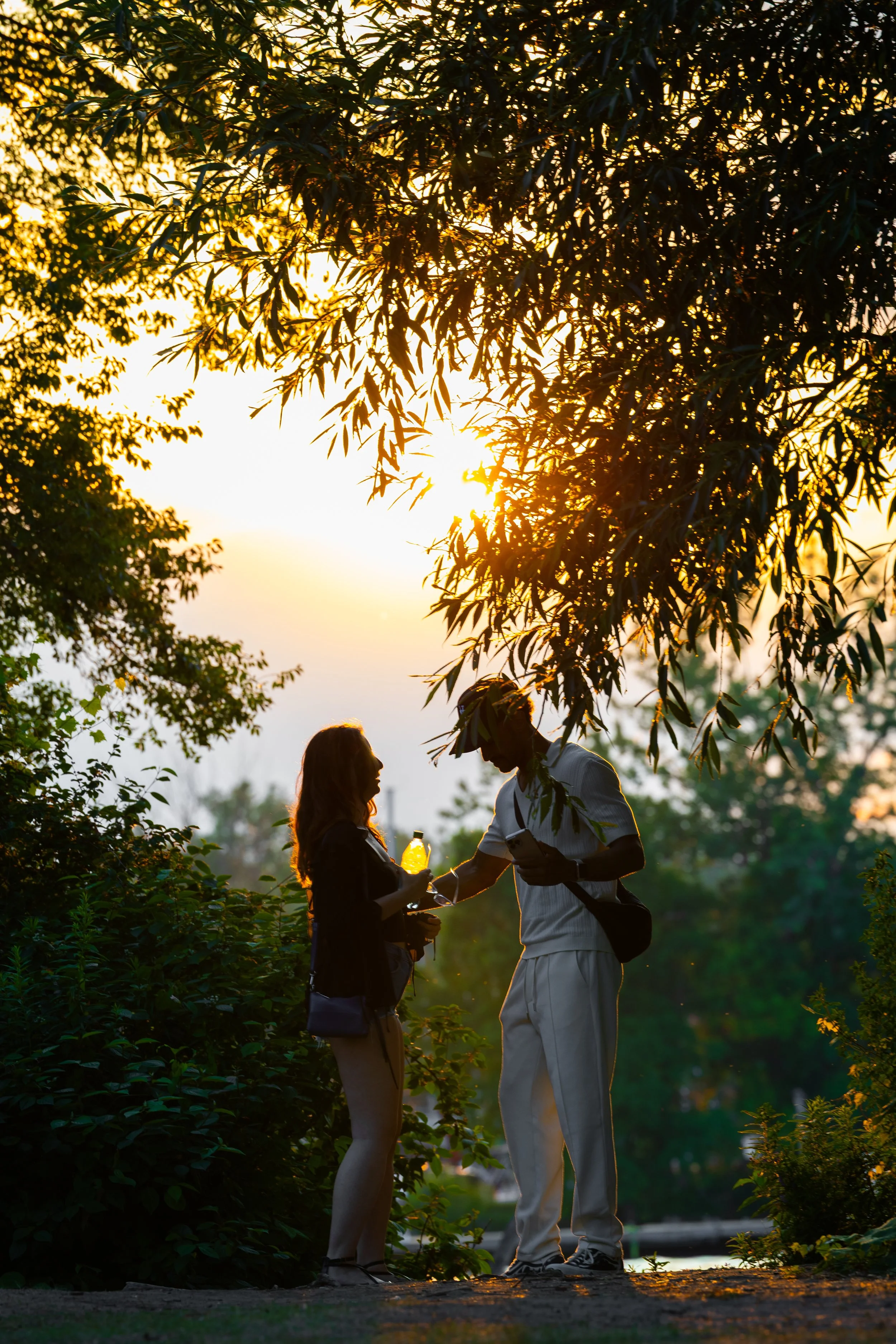Silhouettes of a man and woman standing close together outdoors during sunset, surrounded by trees and foliage, with the sun shining through the leaves.