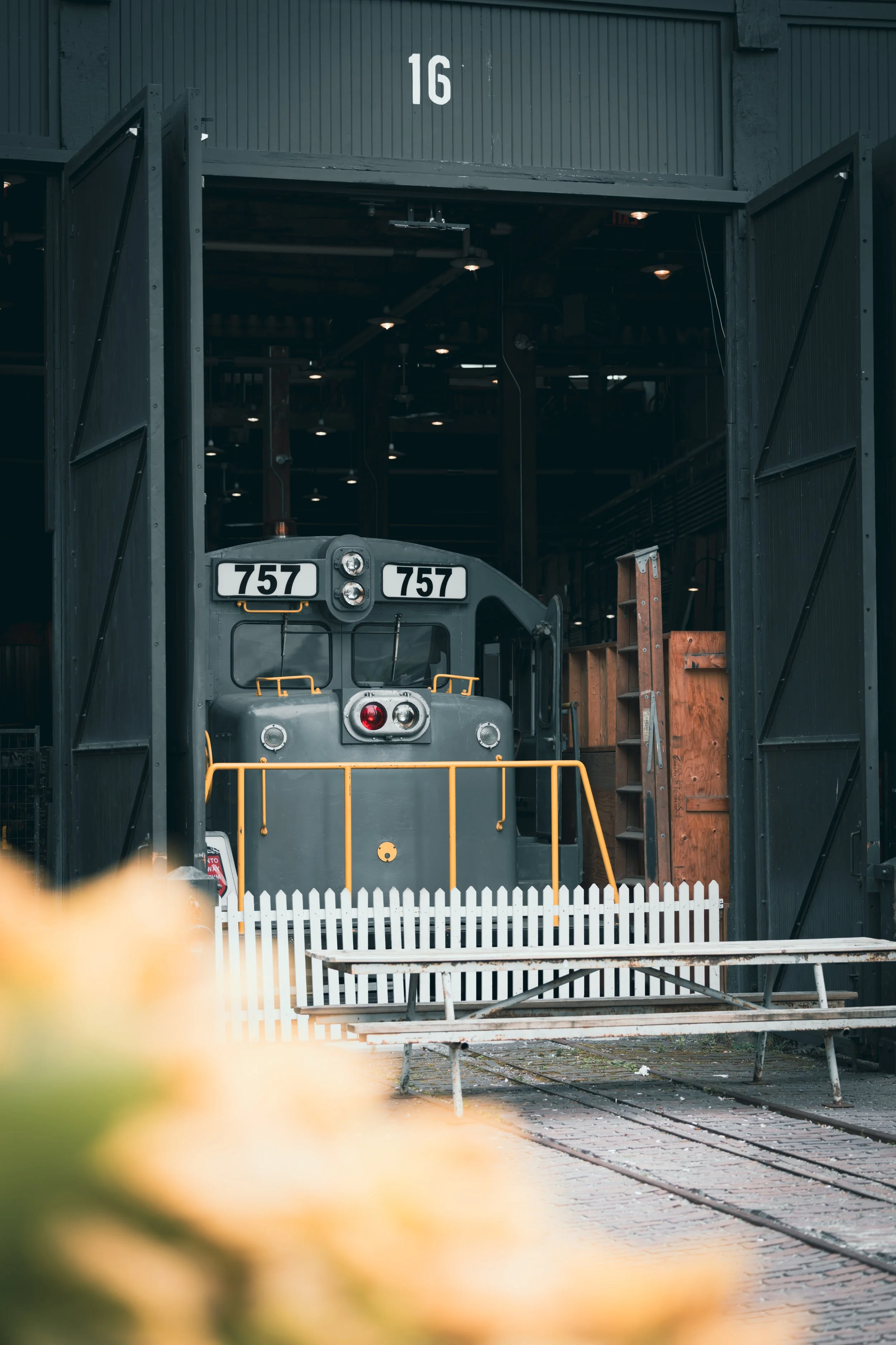 R6II9954.JPG