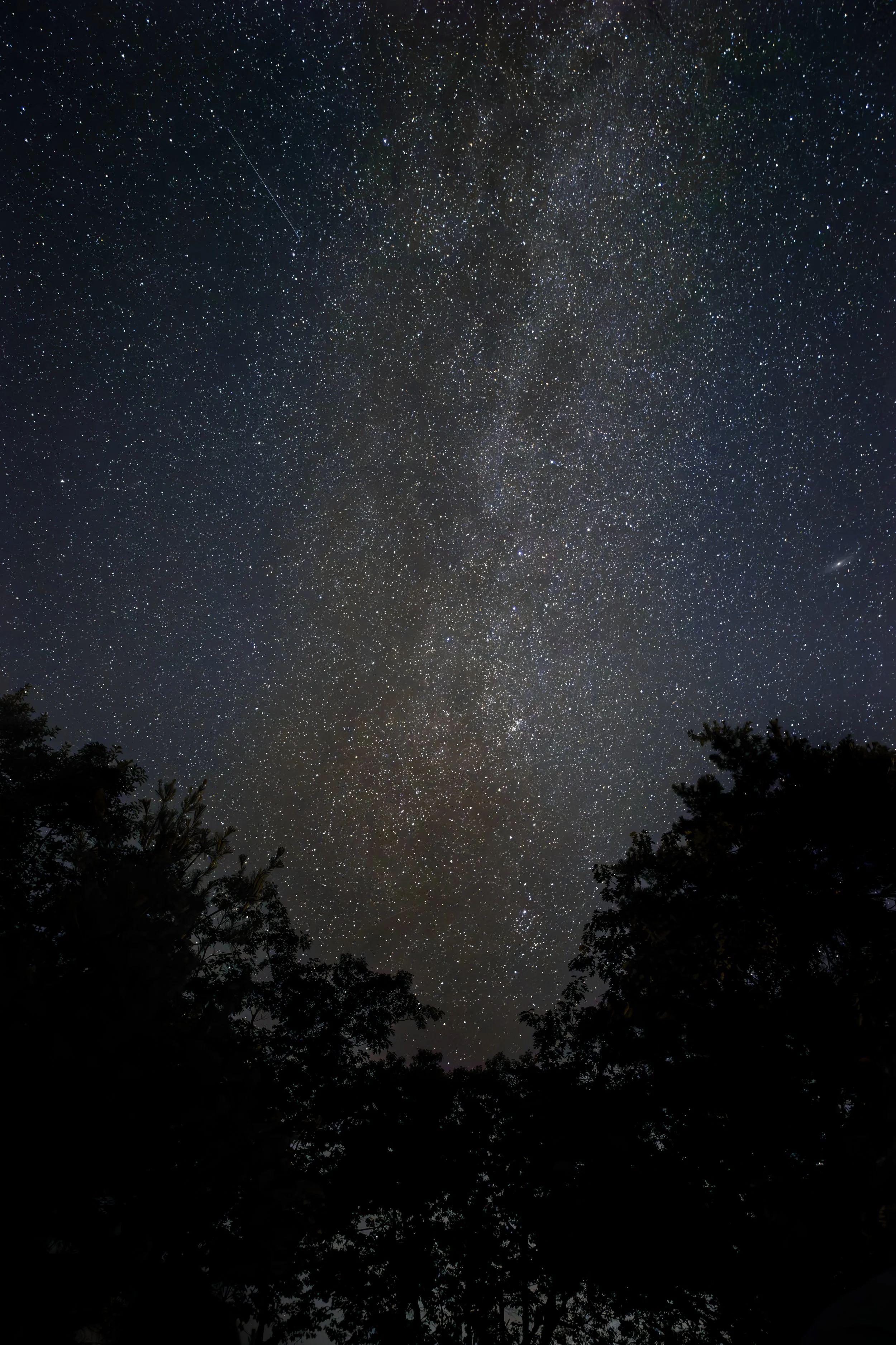 Night sky filled with numerous stars and a faint view of the Milky Way galaxy, with silhouetted trees at the bottom.
