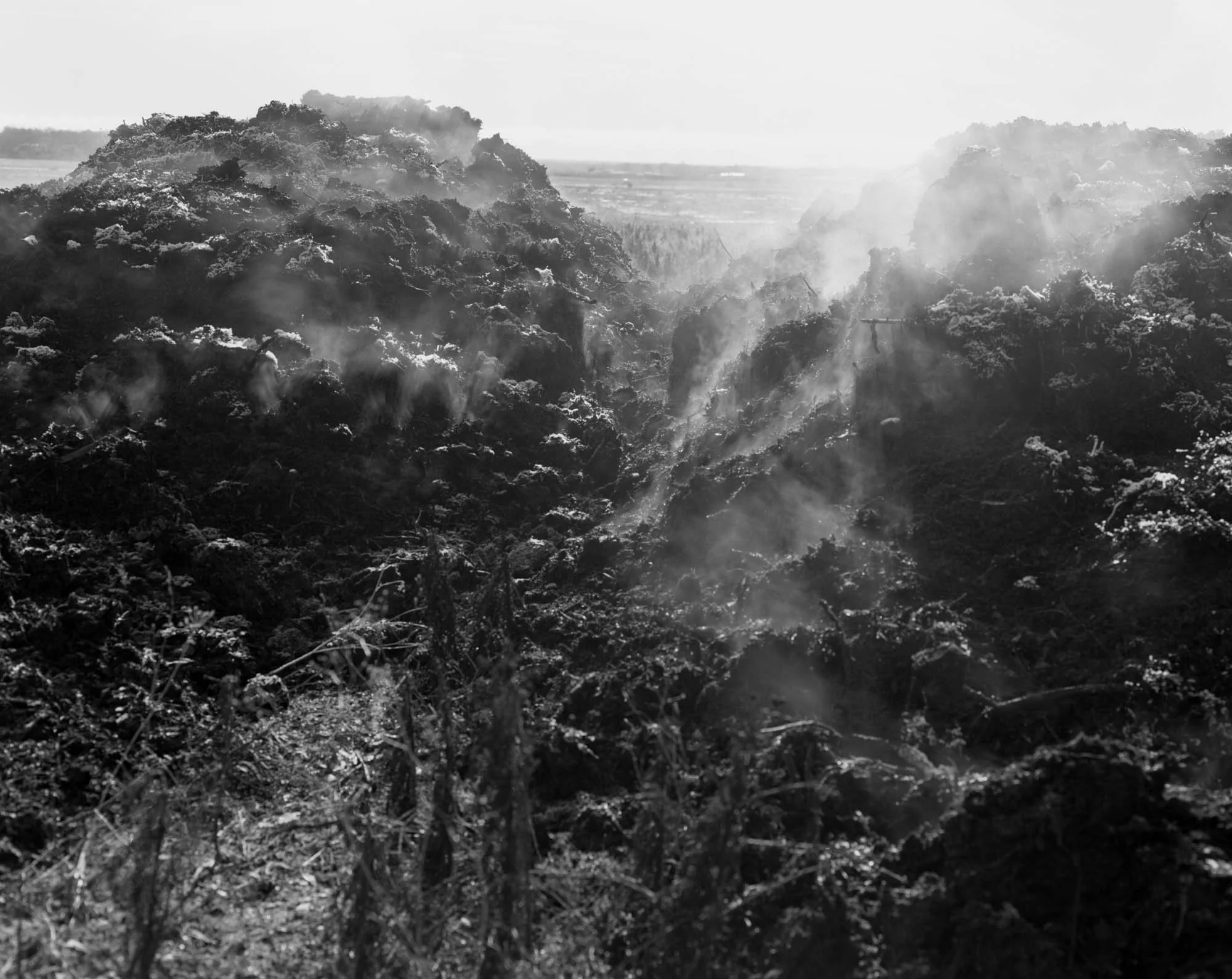 A forest fire with smoke and flames among trees, viewed in black and white.