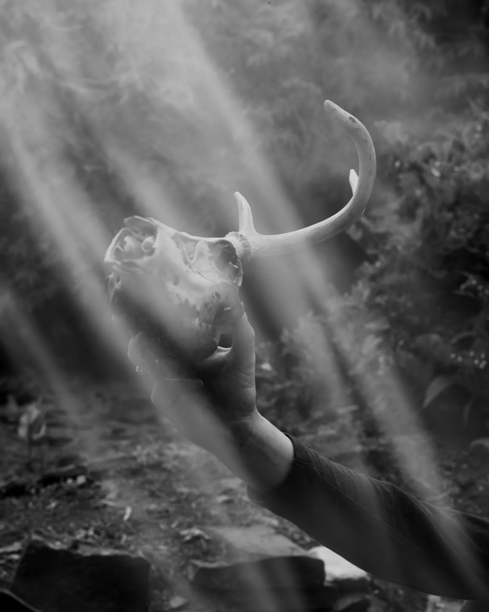 Black and white photo of a person holding a clam shell with antlers inside, outdoors with dirt and foliage in the background.