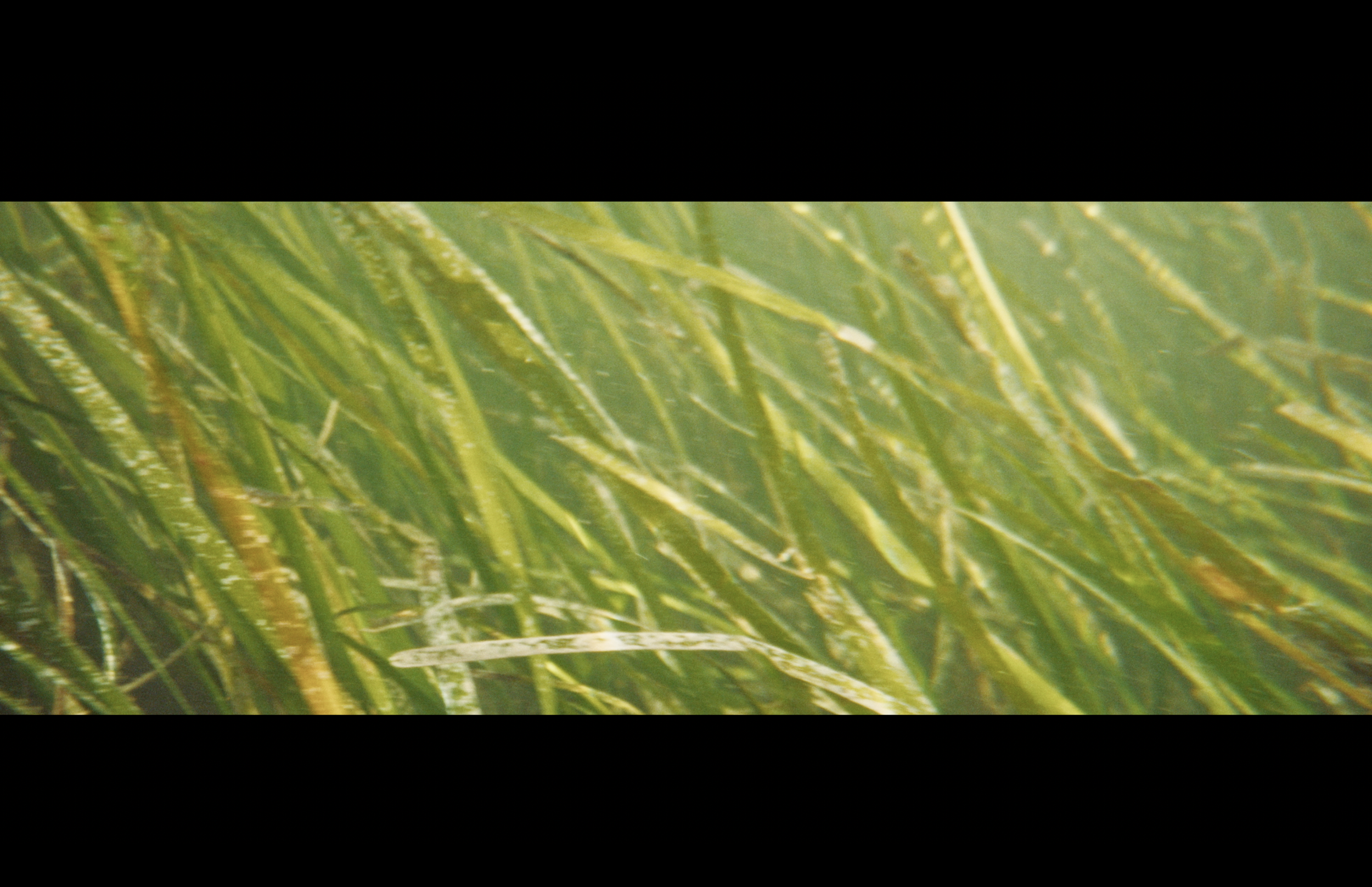 Screenshot 2025-11-12 at 11.59.58 AM.png