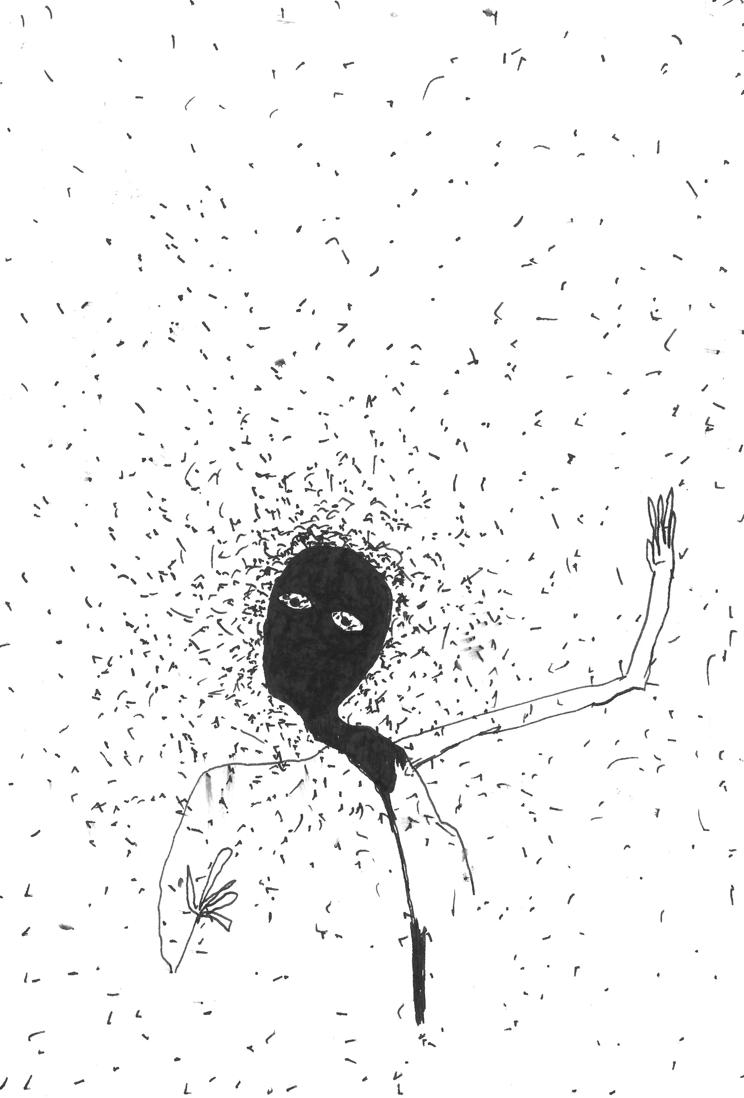 Fly Face
