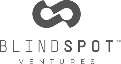 Logo of Blindspot Ventures featuring a stylized infinity symbol above the company name.