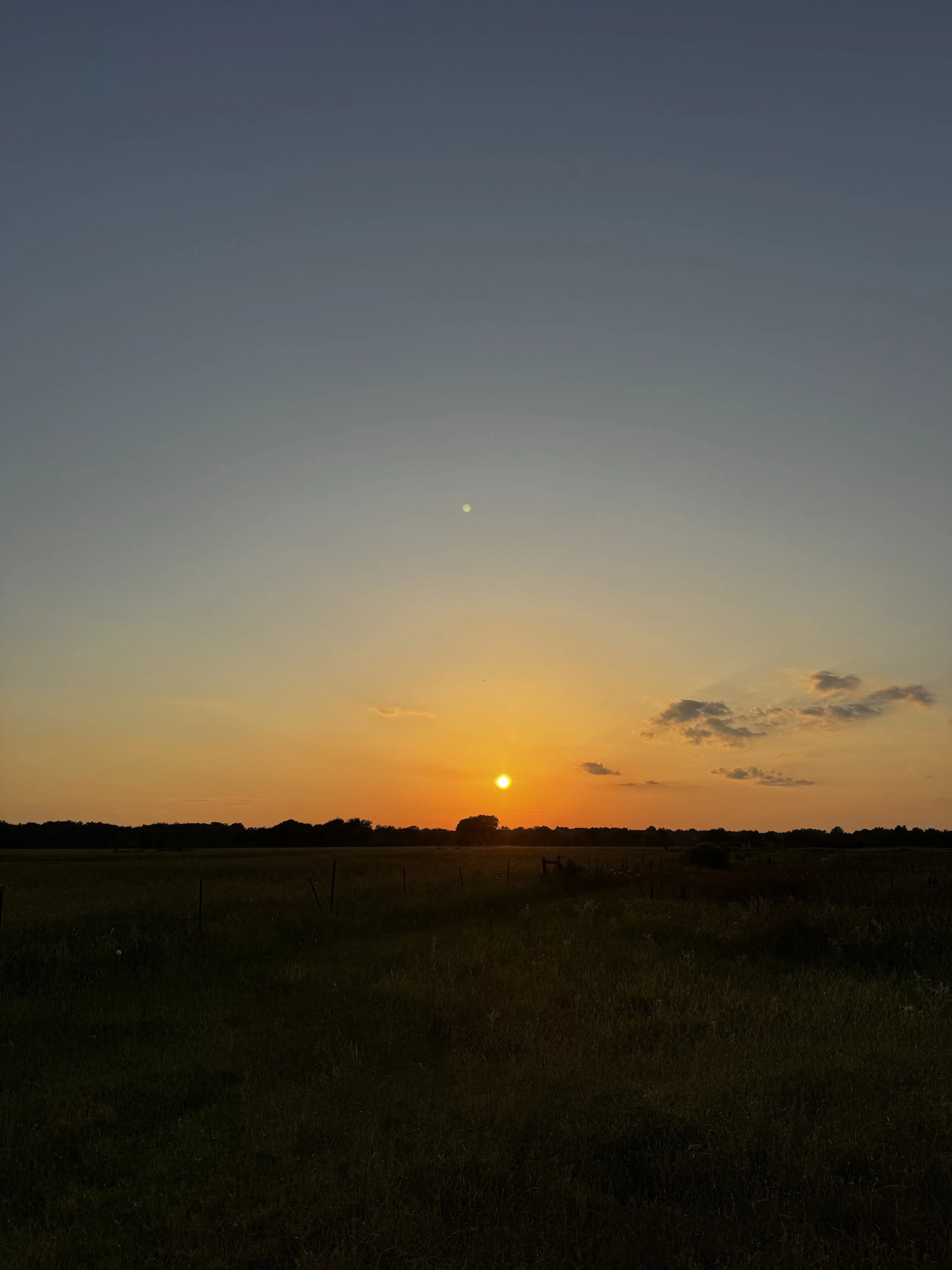 IMG_4580.jpeg