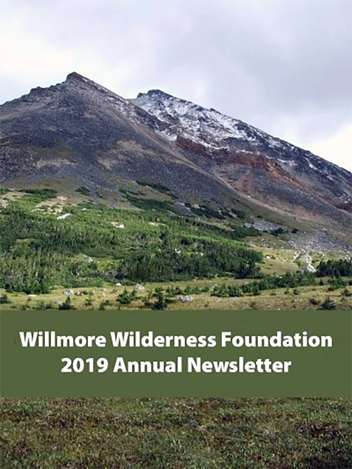 Mountain landscape with green alpine vegetation and snow-dusted peaks, overlaid with text reading “Willmore Wilderness Foundation 2019 Annual Newsletter.”