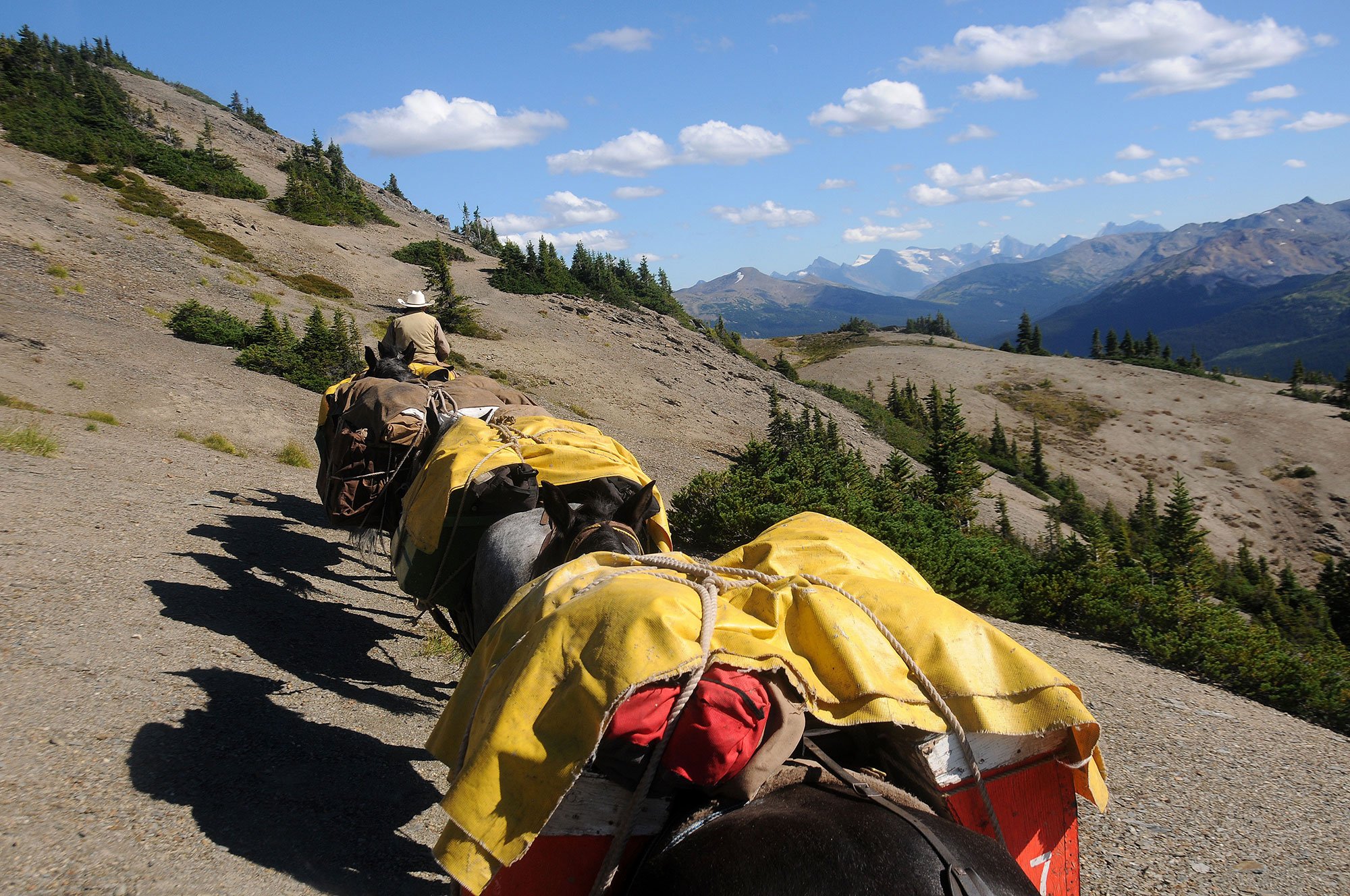 Pack horses carrying supplies along a rocky mountain trail with snow-capped peaks in the background