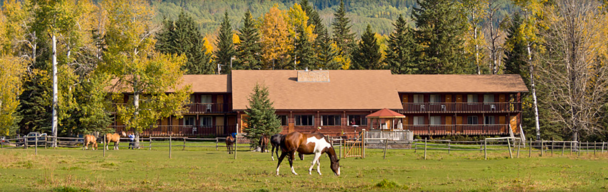 Rustic lodge with balconies and gazebo behind a fenced pasture where horses graze, surrounded by autumn trees.