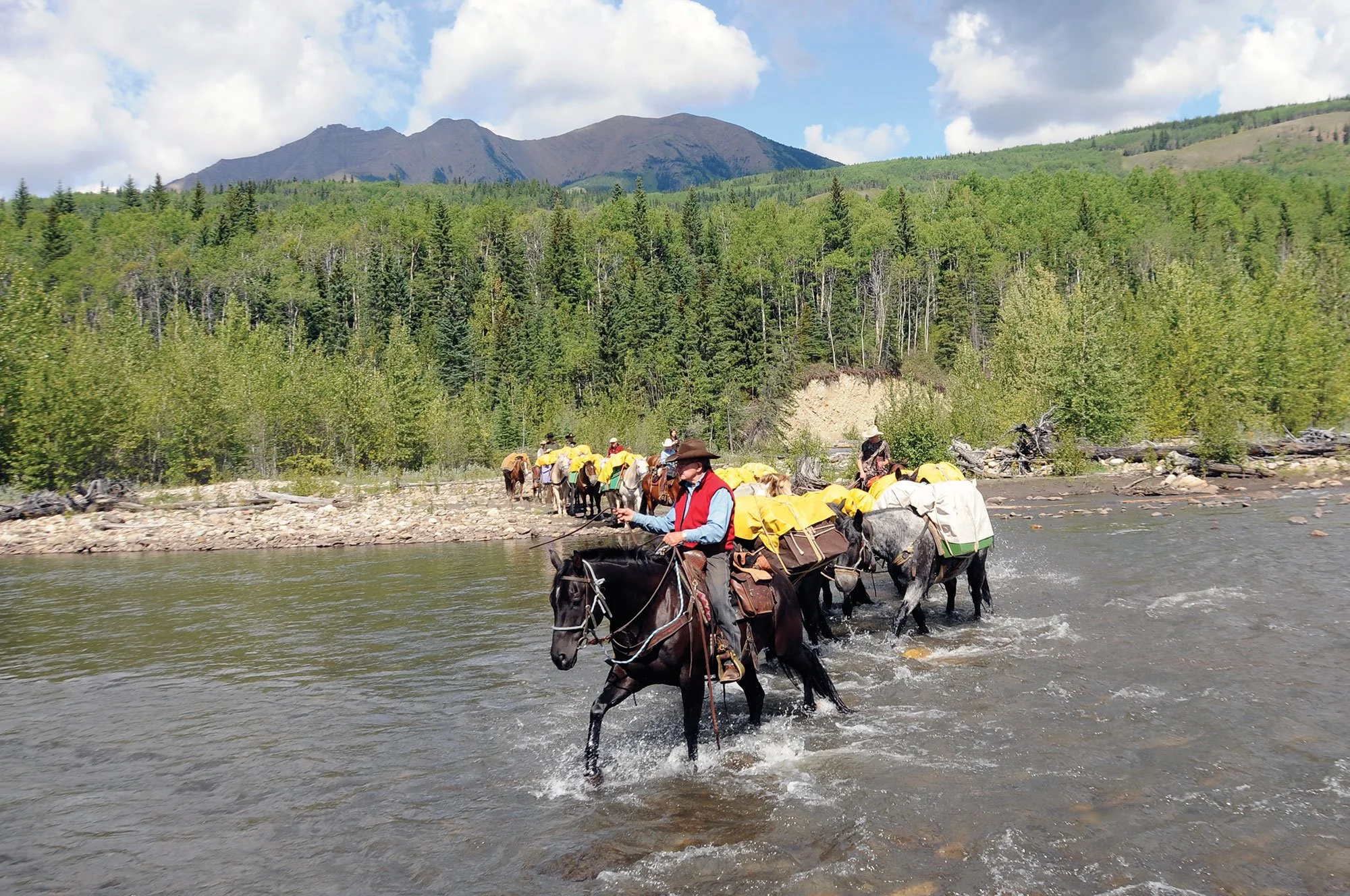 Pack horses carrying supplies cross a shallow river beneath forested mountains