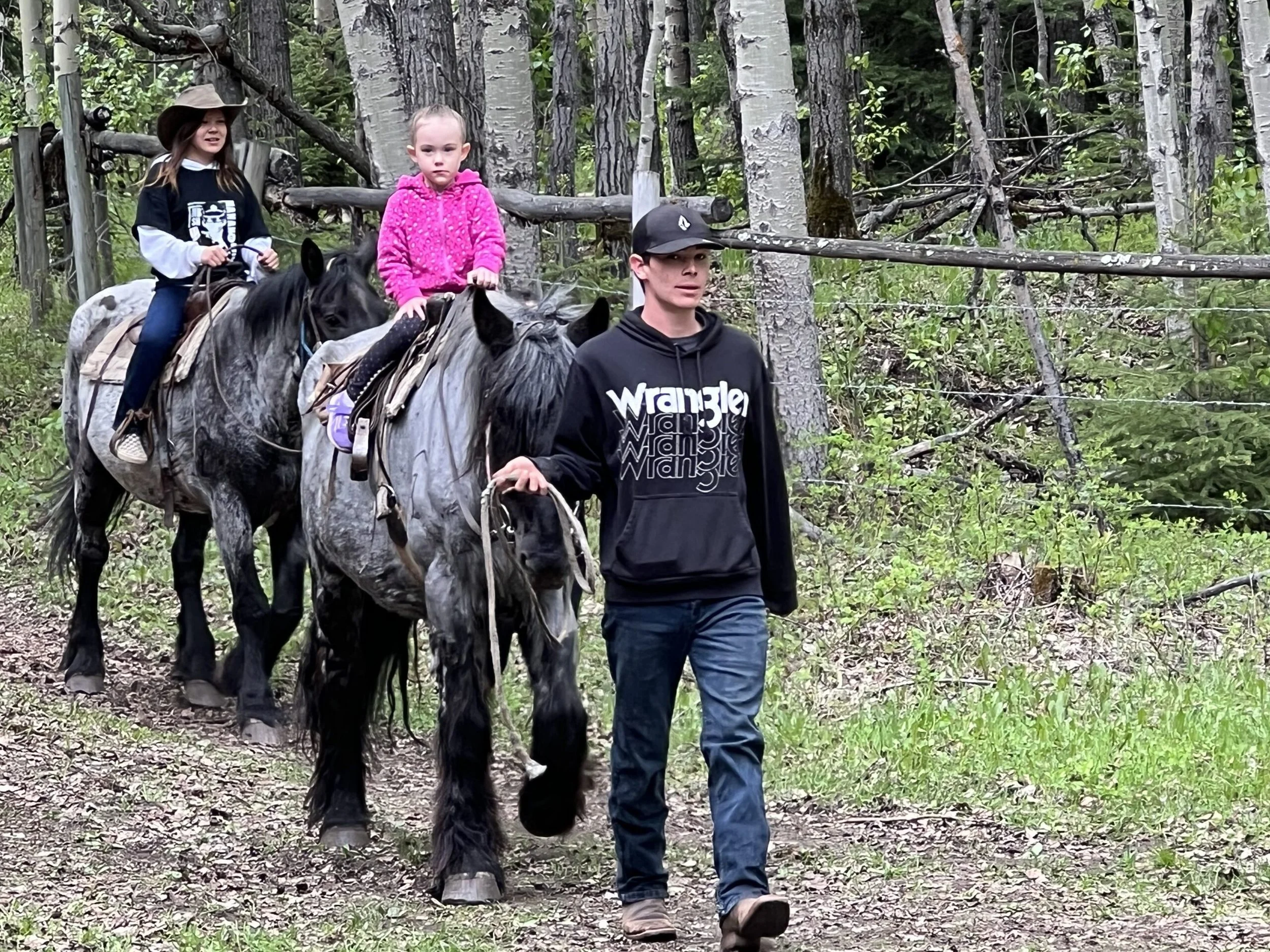 Two children riding draft horses while a man leads them along a forest trail.