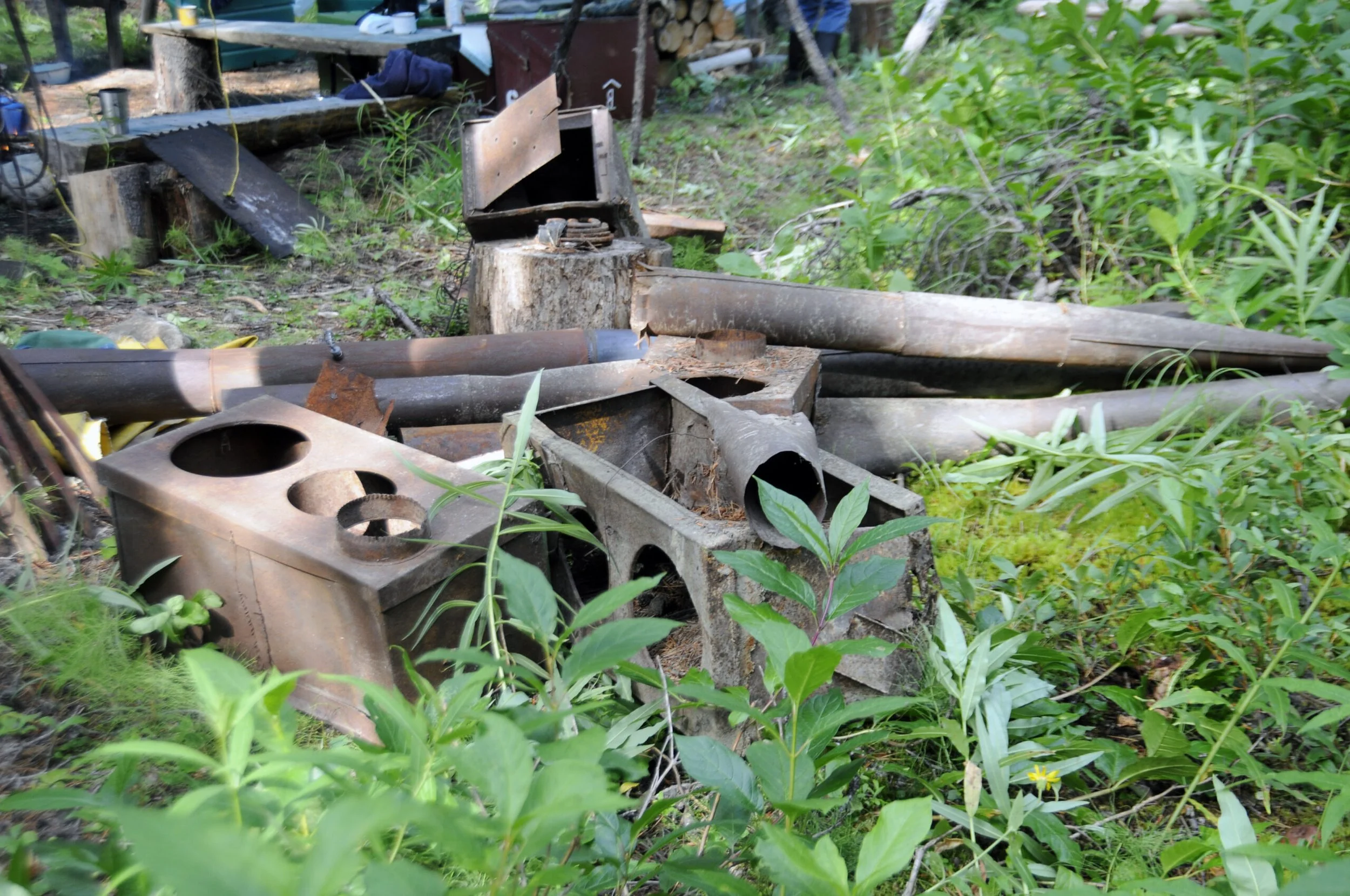 Rusty industrial pipes and metal machinery abandoned in dense green vegetation