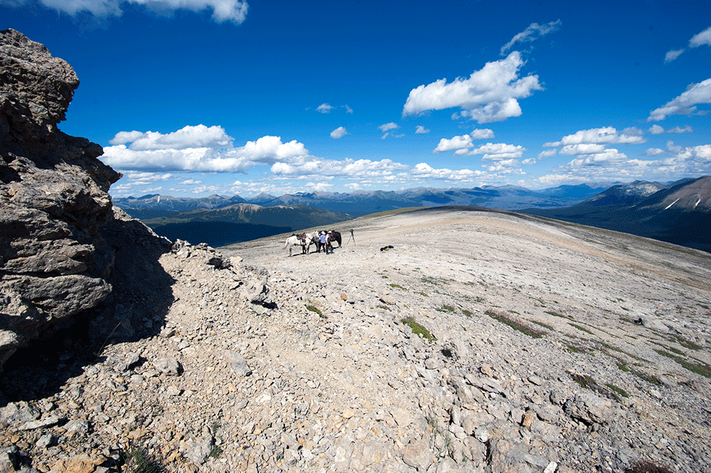 Hikers and pack horses crossing a rocky mountain ridge beneath a blue sky and distant peaks