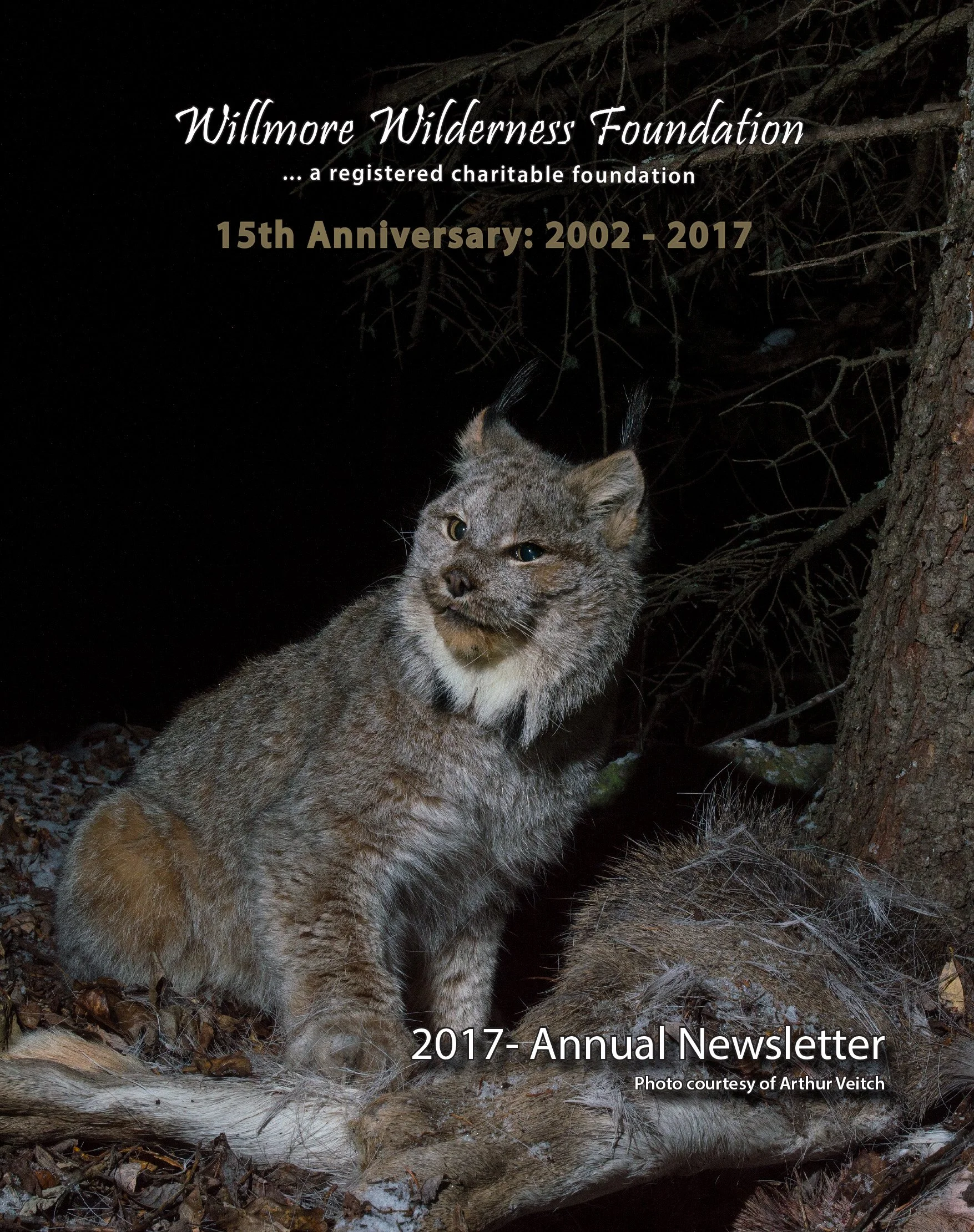 Canada lynx in a forest beside a tree, featured on the Willmore Wilderness Foundation 2017 annual newsletter cover.