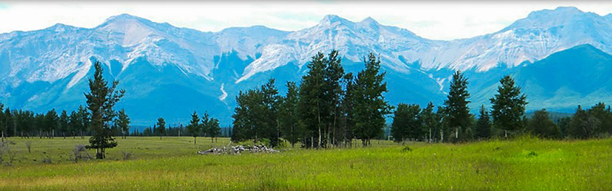 Snow-capped mountain range behind a green meadow and evergreen trees