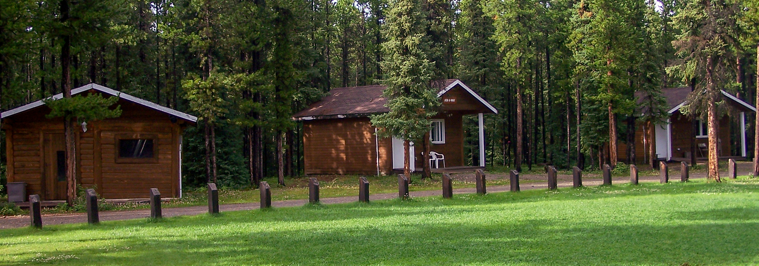 Wooden cabins surrounded by pine trees beside a grassy lawn in a forest campground
