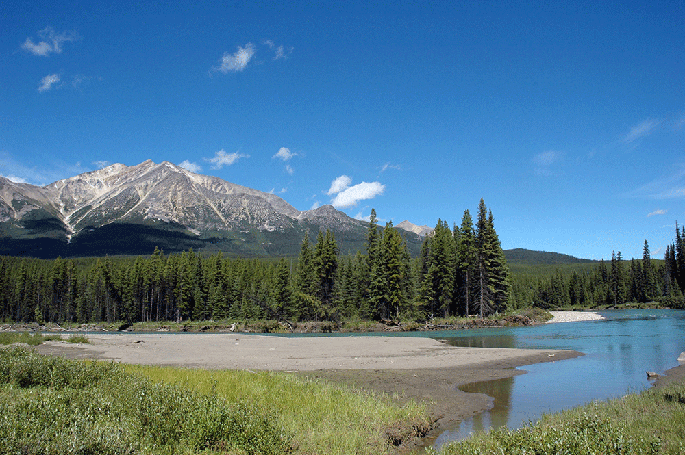 Mountain landscape with a forest, turquoise river, and gravel shoreline under a clear blue sky