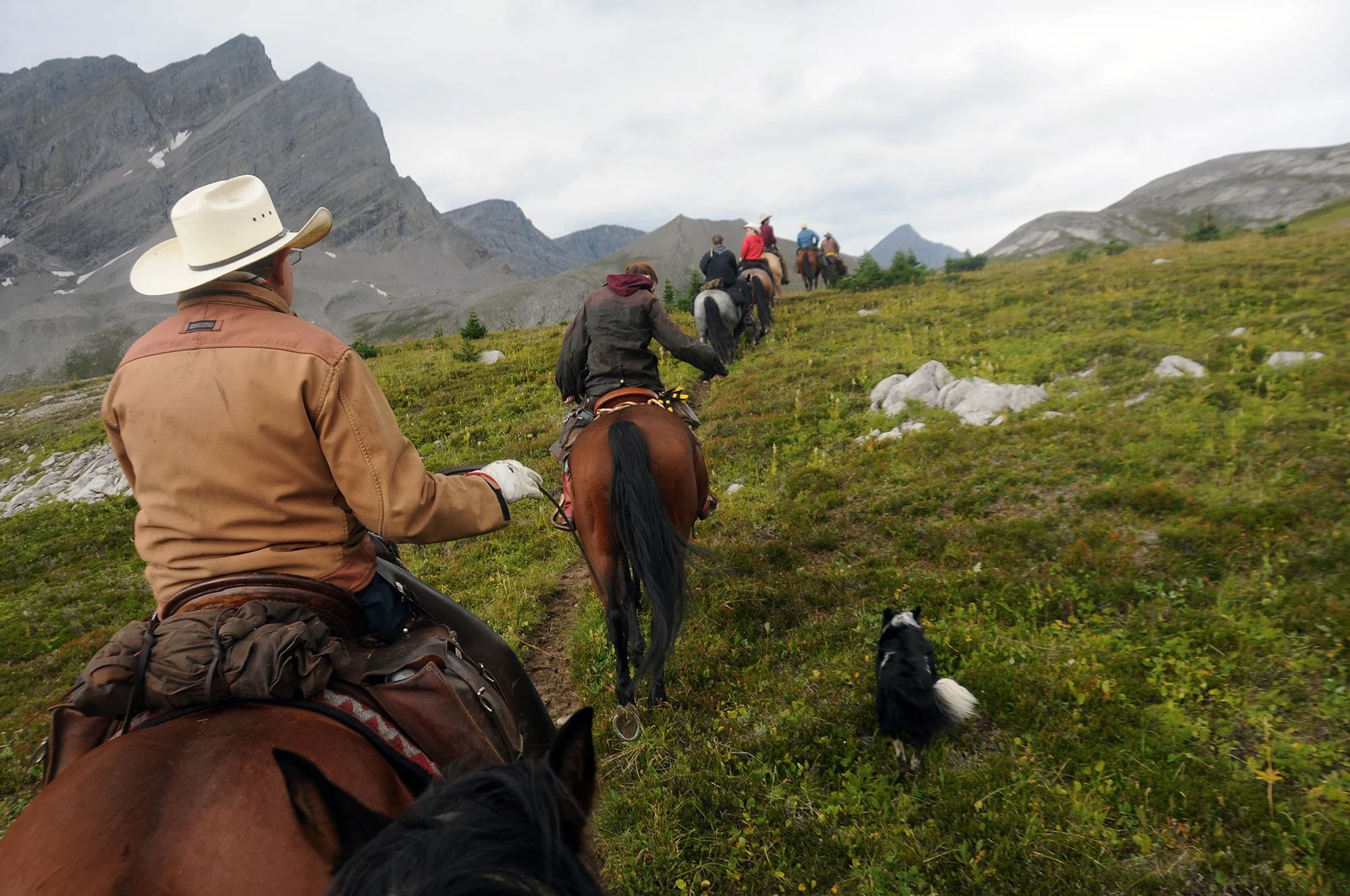 Group of horseback riders and a dog crossing an alpine meadow beneath rugged gray mountains.