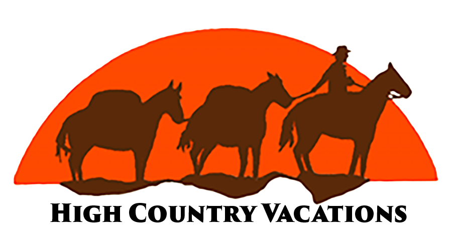 Silhouette of a rider on horseback leading two horses against an orange sunset